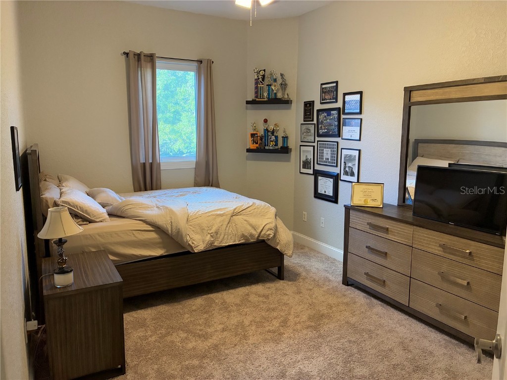 7404 Newburns Place #3 New Port Richey FL 34655 TB8432270 image26