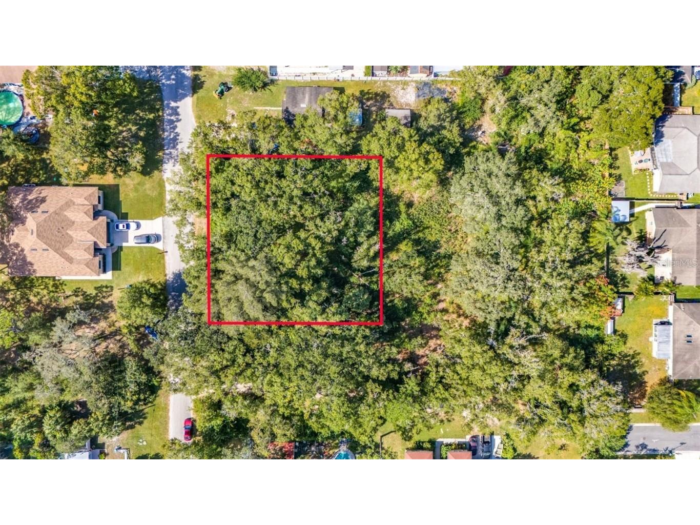 7405 Avonwood Street Tampa FL 33625 TB8317254 image1