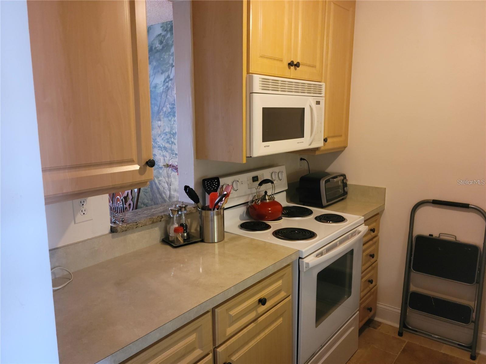 7405 Bay Island Drive S #224 South Pasadena FL 33707 TB8381651 image25