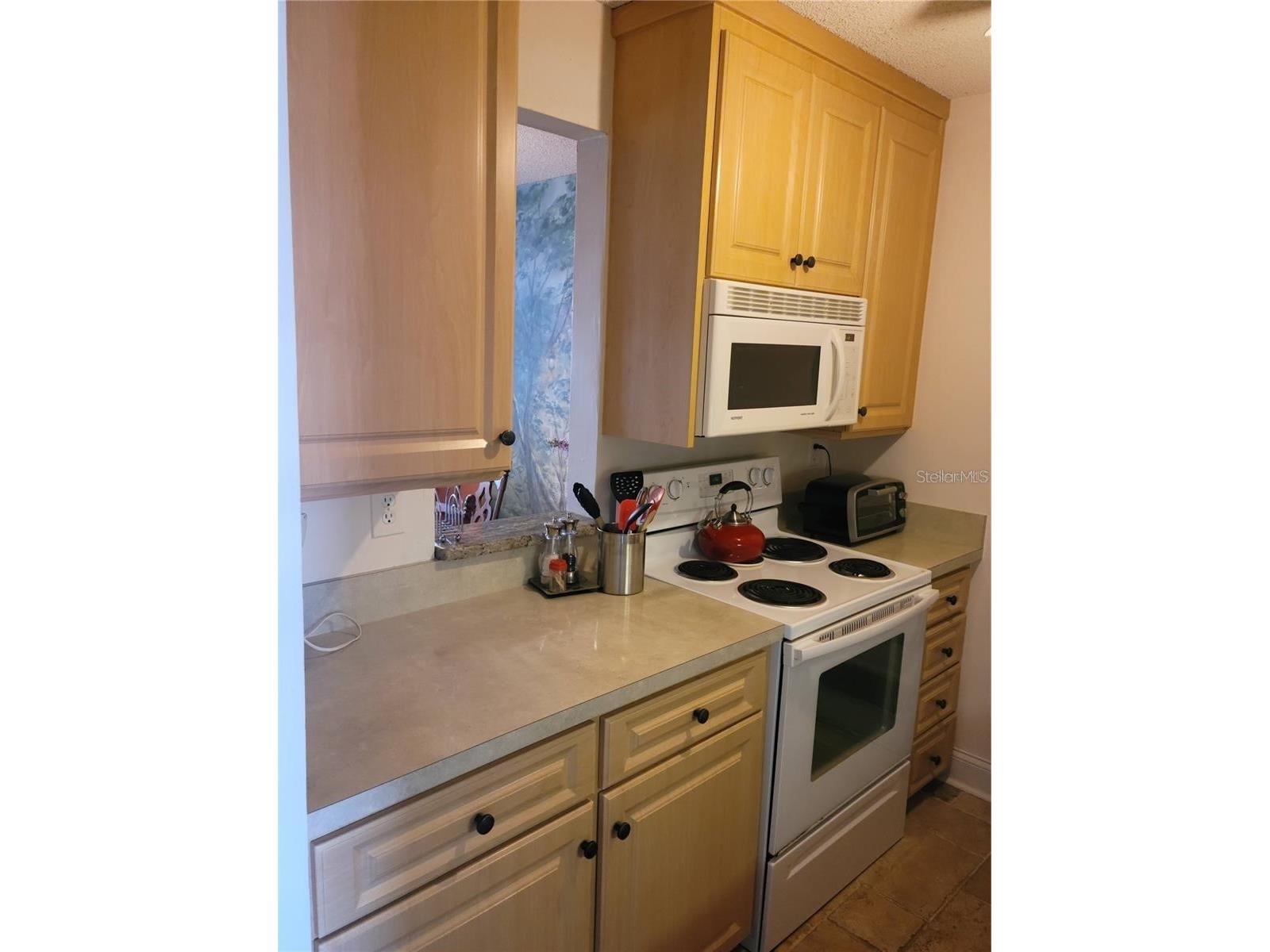 7405 Bay Island Drive S #224 South Pasadena FL 33707 TB8381651 image26