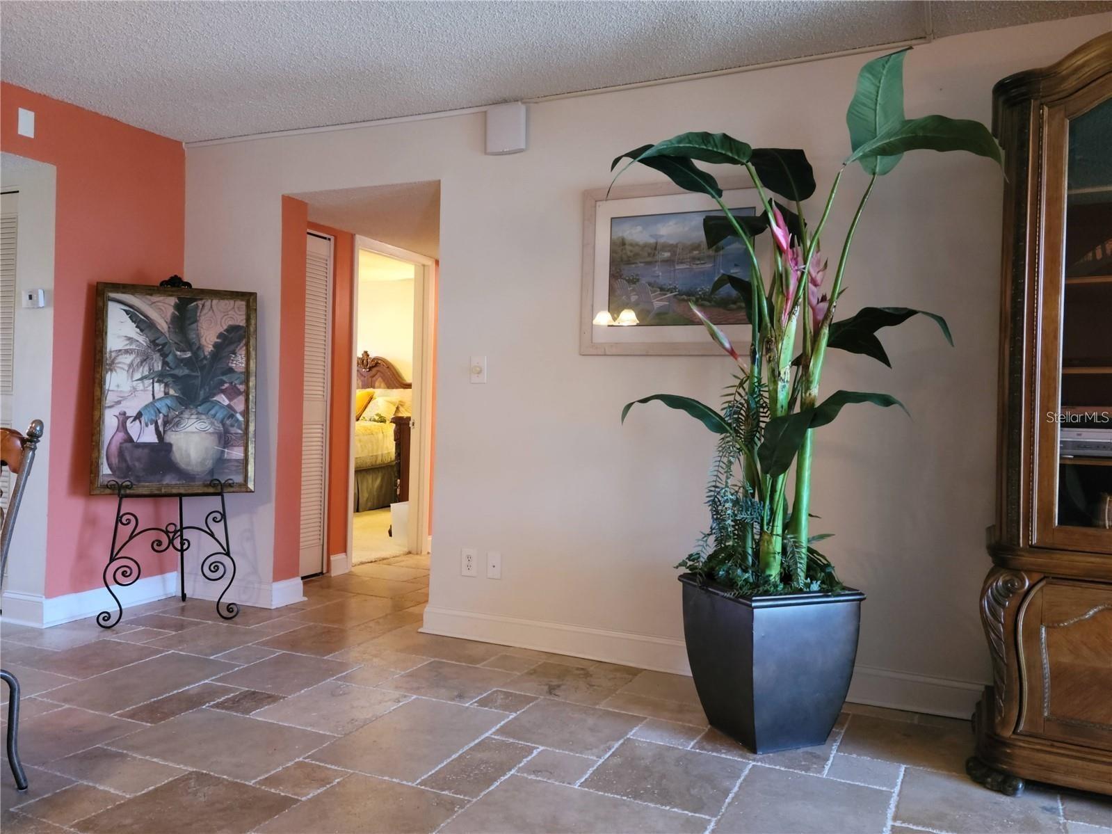 7405 Bay Island Drive S #224 South Pasadena FL 33707 TB8381651 image32