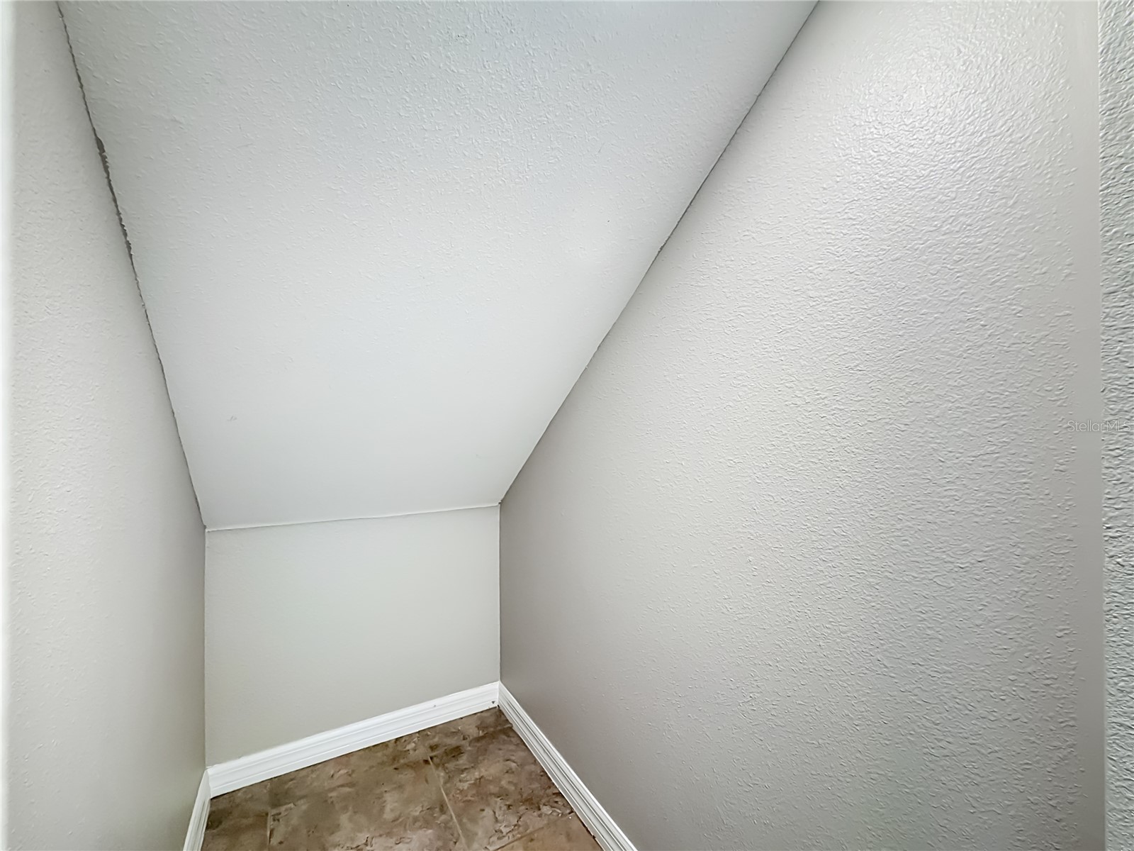 7405 Evening Primrose Court Tampa FL 33619 C7526099 image21