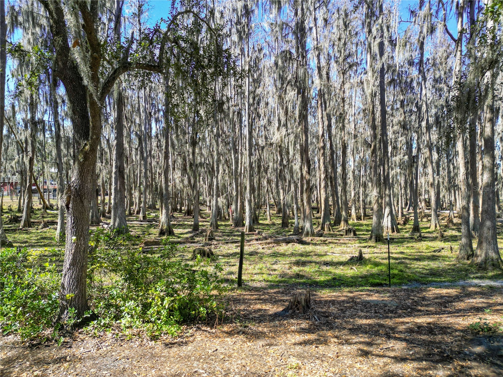 7405 Shoupe Road Plant City FL 33565 L4959144 image60