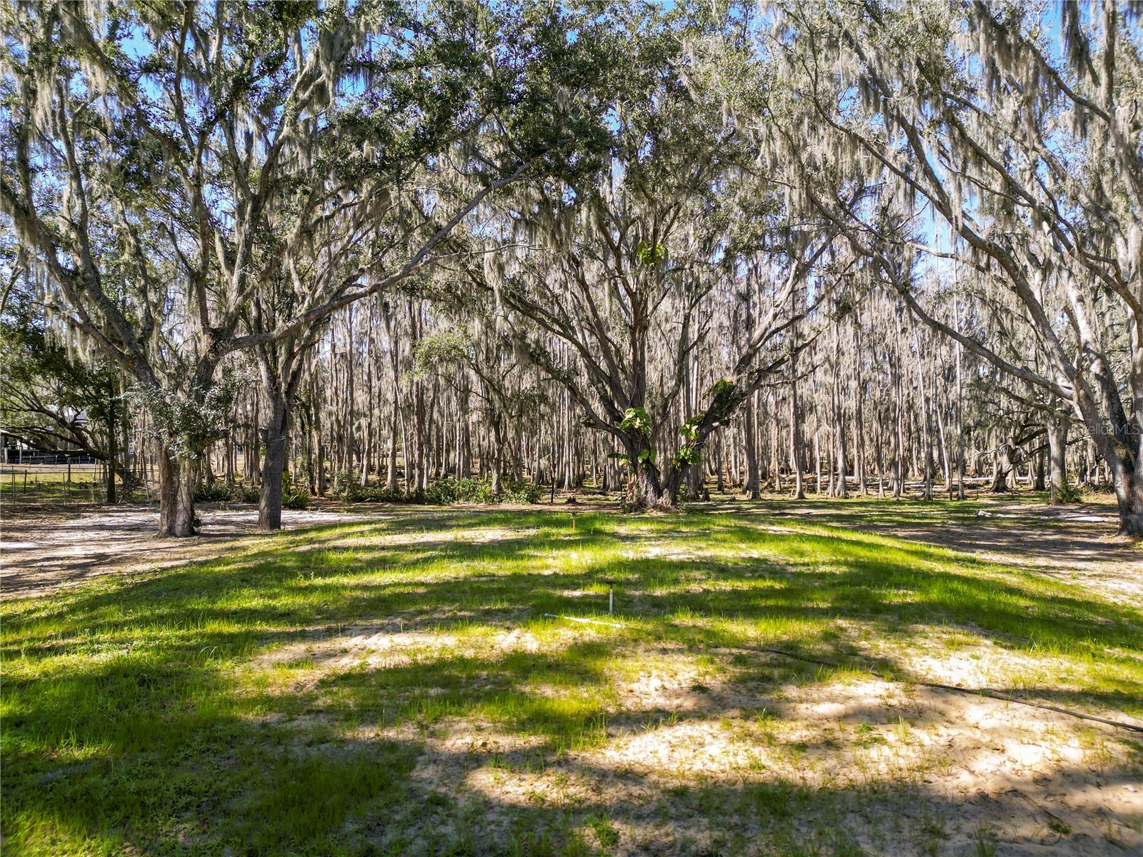 7405 Shoupe Road Plant City FL 33565 L4959144 image63