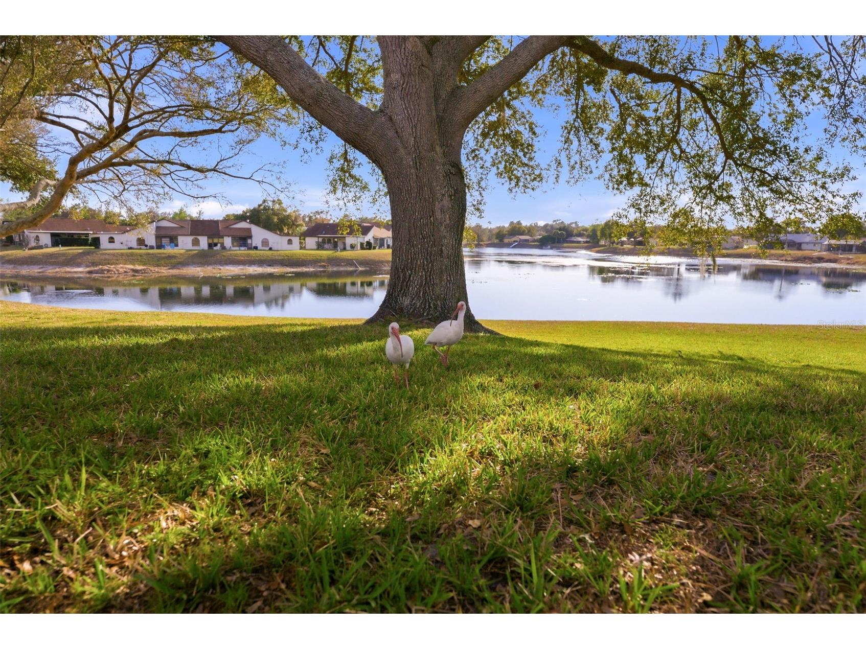 7406 Heather Walk Drive Weeki Wachee FL 34613 W7883544 image5