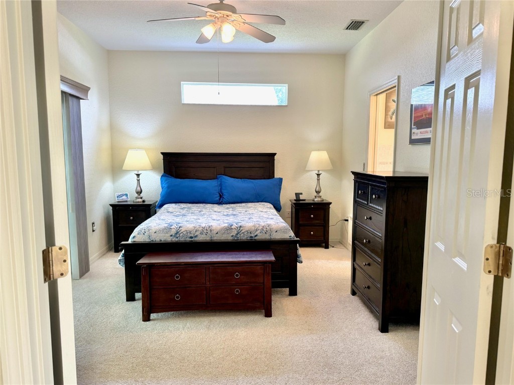 7406 Mint Julep Drive Riverview FL 33578 O6333258 image14