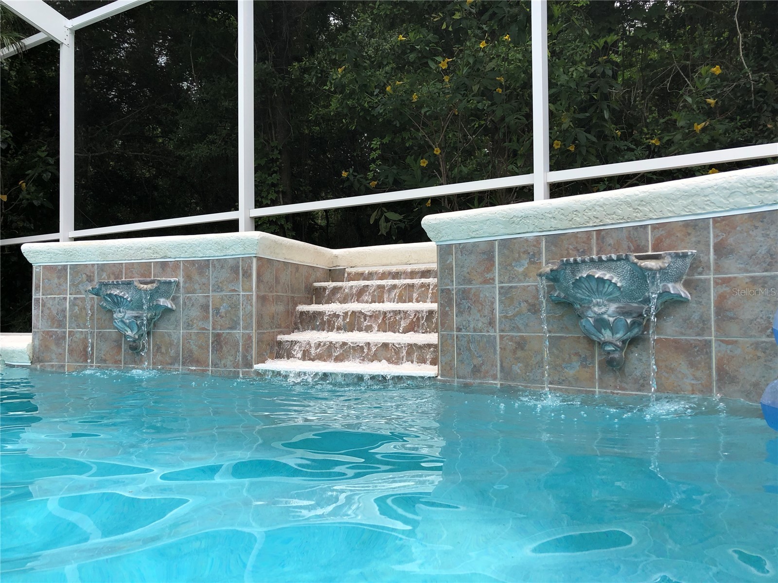 7406 Mint Julep Drive Riverview FL 33578 TB8492785 image23
