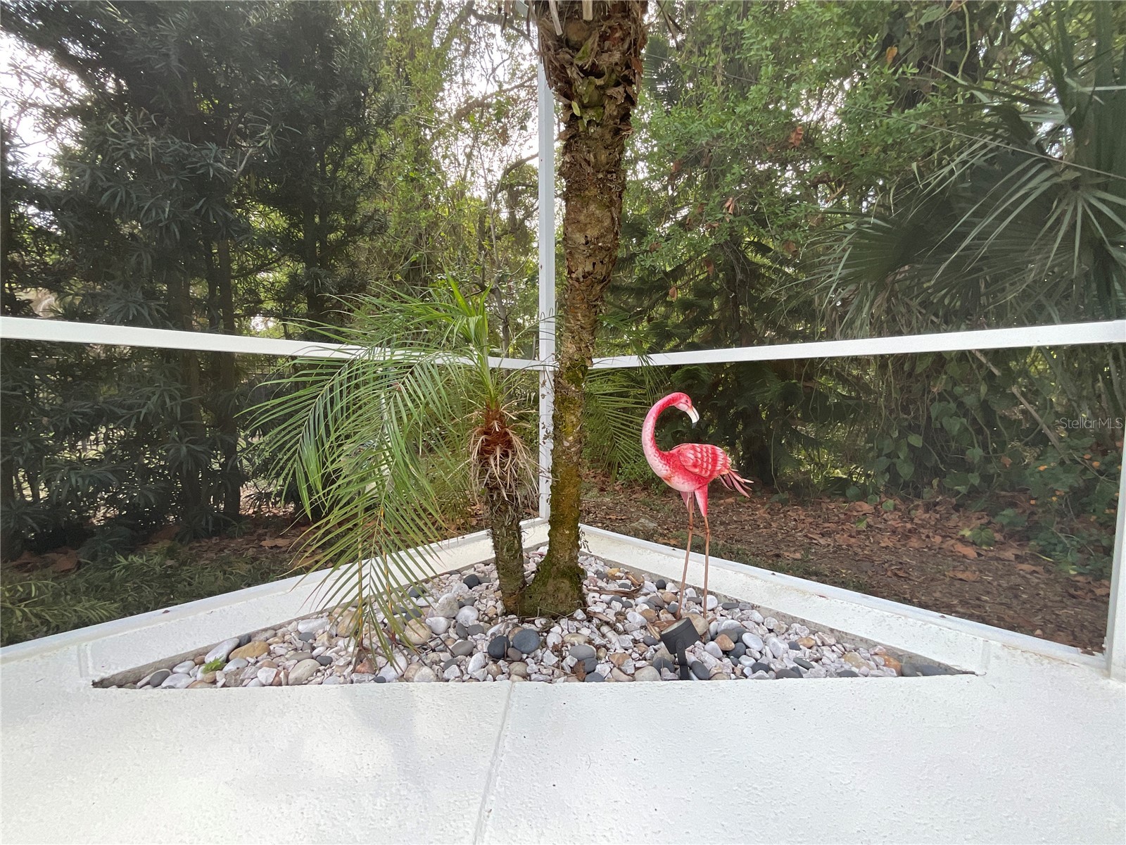 7406 Mint Julep Drive Riverview FL 33578 TB8492785 image32