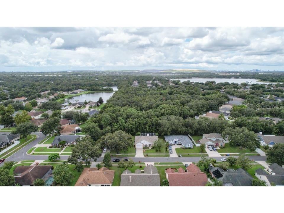 7406 Mint Julep Drive Riverview FL 33578 TB8492785 image37