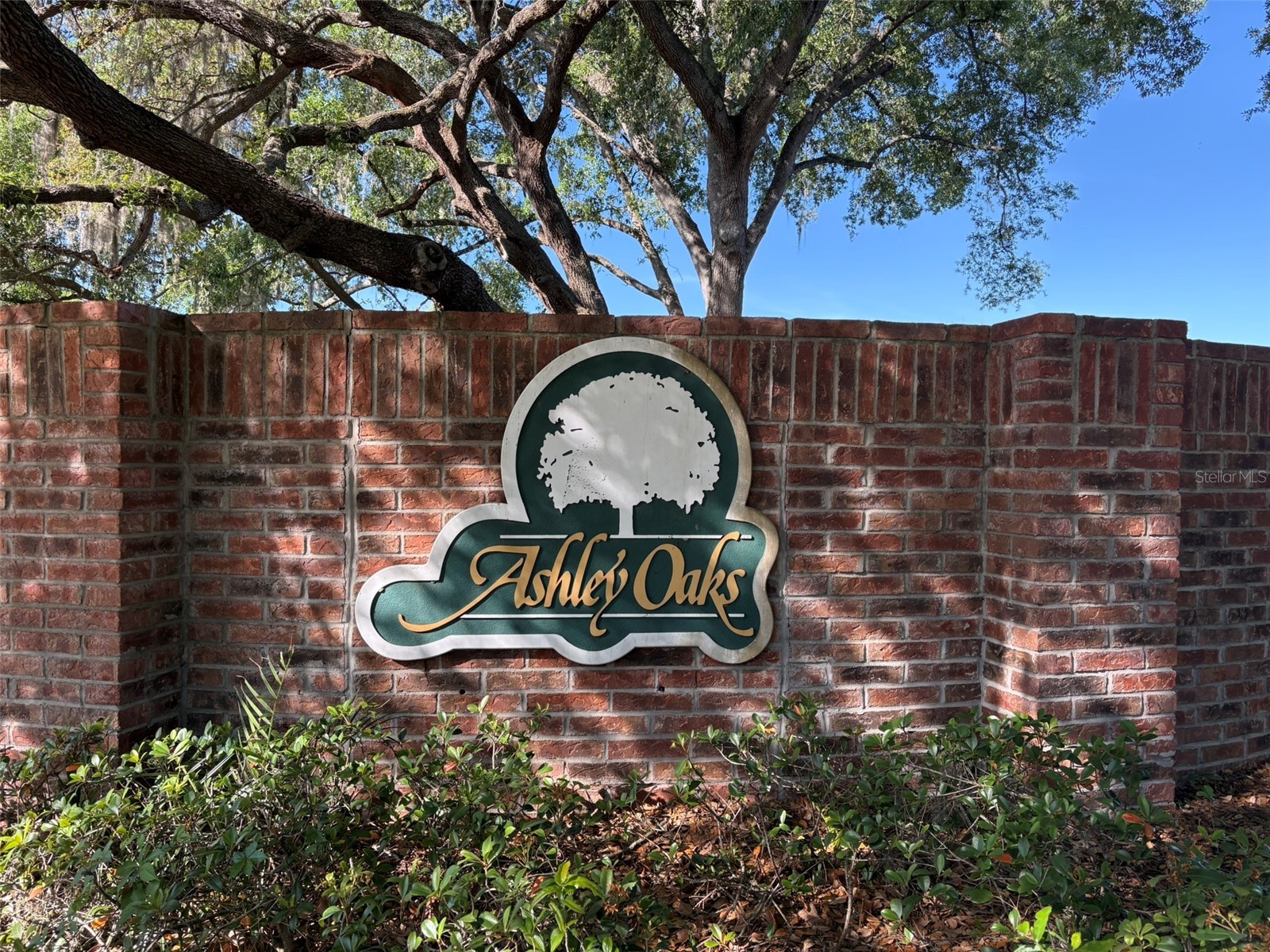 7406 Mint Julep Drive Riverview FL 33578 TB8492785 image39
