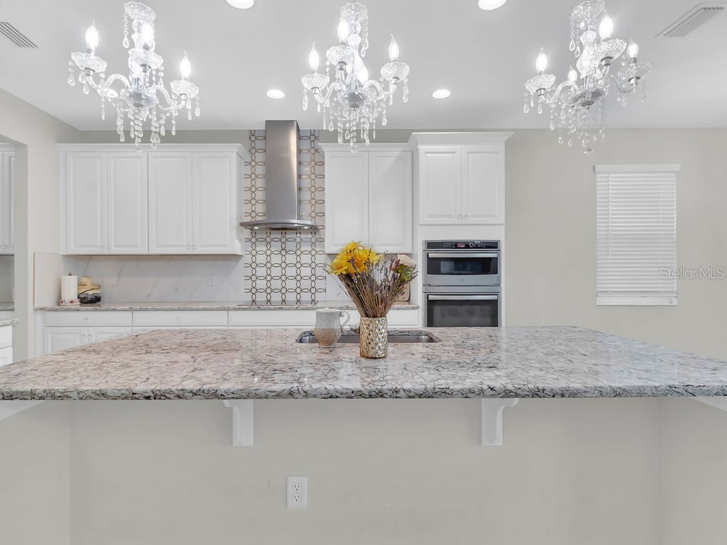 7406 Sweeter Tide Trail Wesley Chapel FL 33545 TB8469914 image12