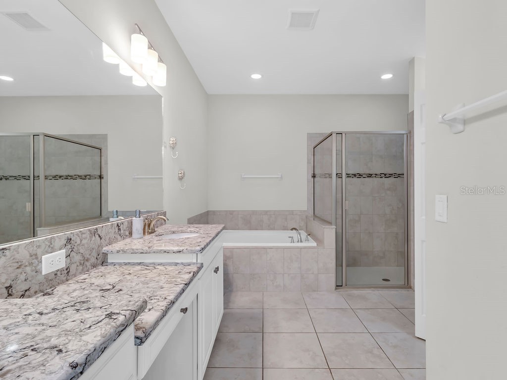 7406 Sweeter Tide Trail Wesley Chapel FL 33545 TB8469914 image28