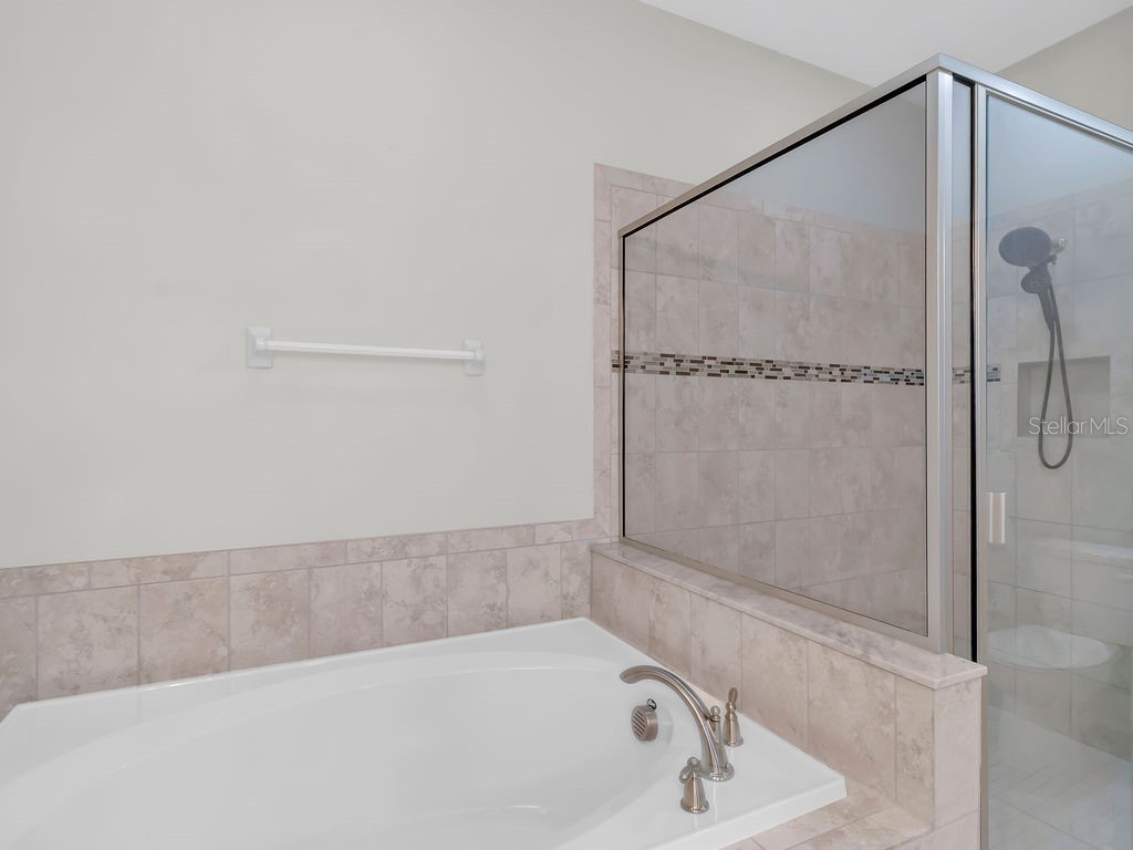 7406 Sweeter Tide Trail Wesley Chapel FL 33545 TB8469914 image29