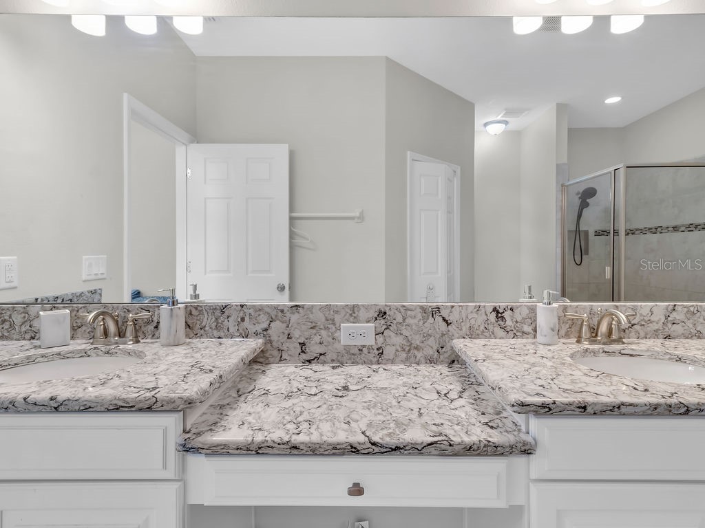 7406 Sweeter Tide Trail Wesley Chapel FL 33545 TB8469914 image30