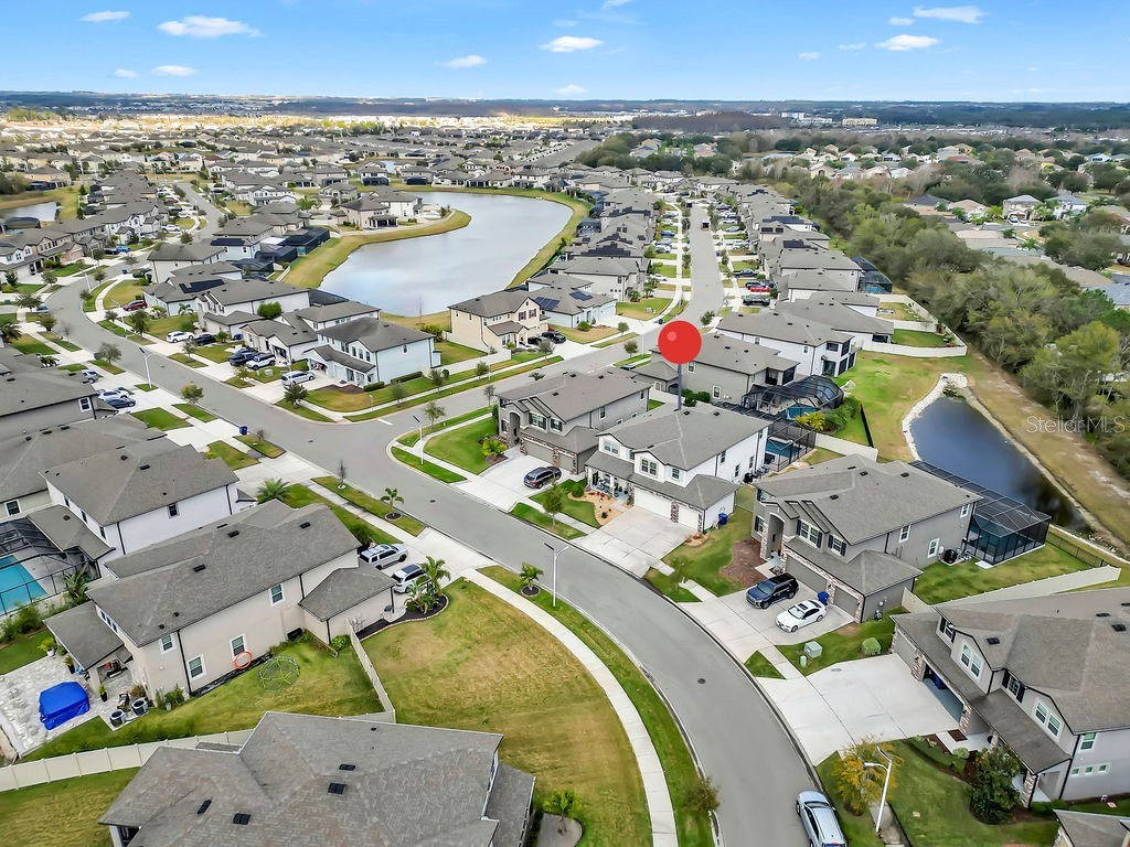 7406 Sweeter Tide Trail Wesley Chapel FL 33545 TB8469914 image53