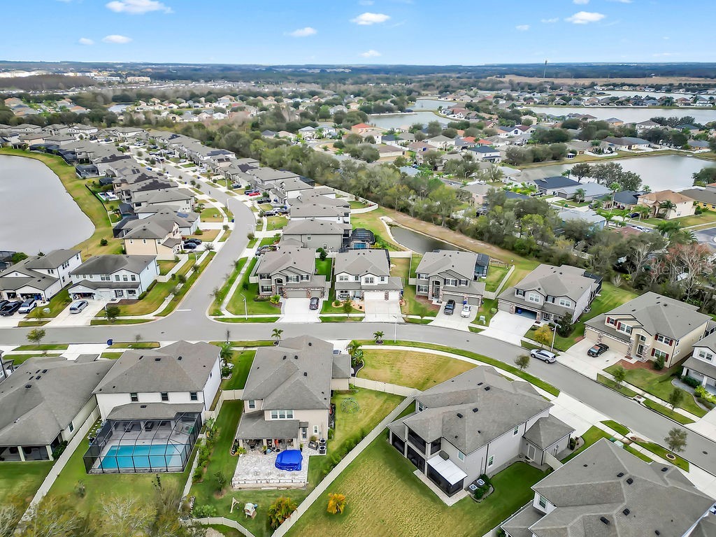 7406 Sweeter Tide Trail Wesley Chapel FL 33545 TB8469914 image56