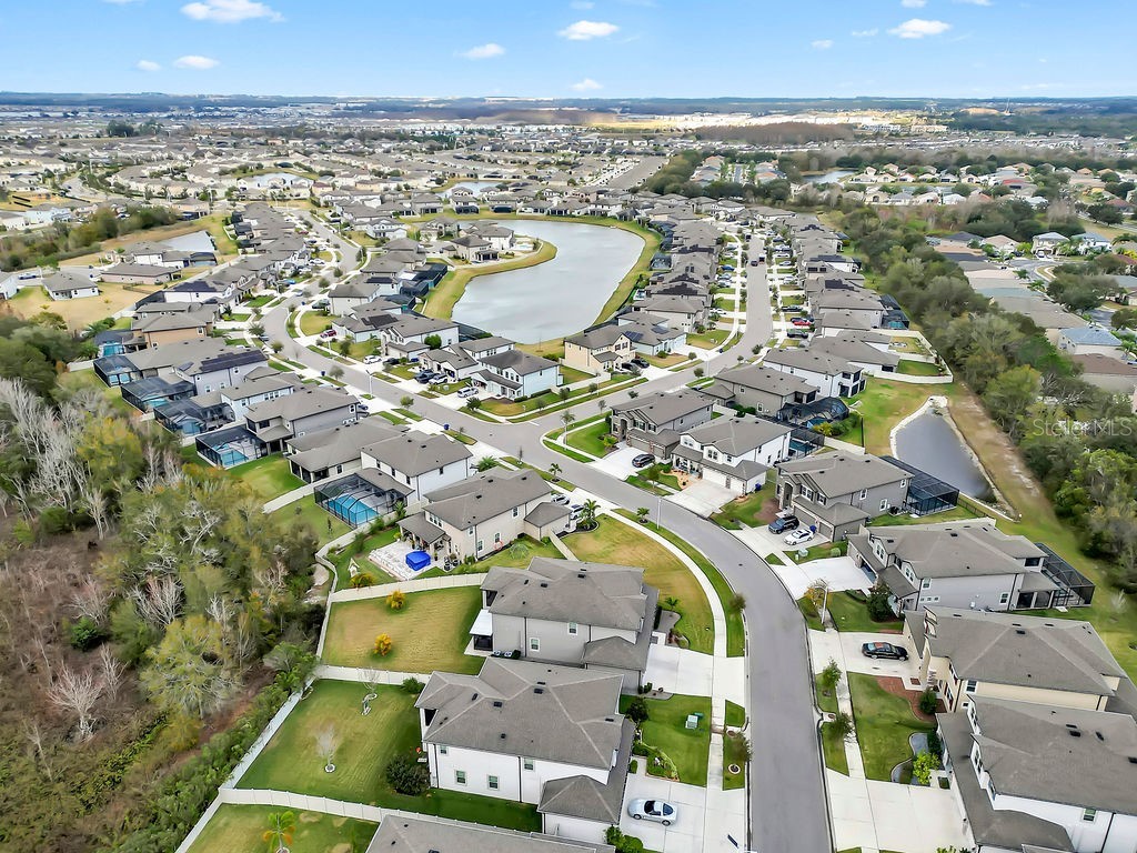 7406 Sweeter Tide Trail Wesley Chapel FL 33545 TB8469914 image58