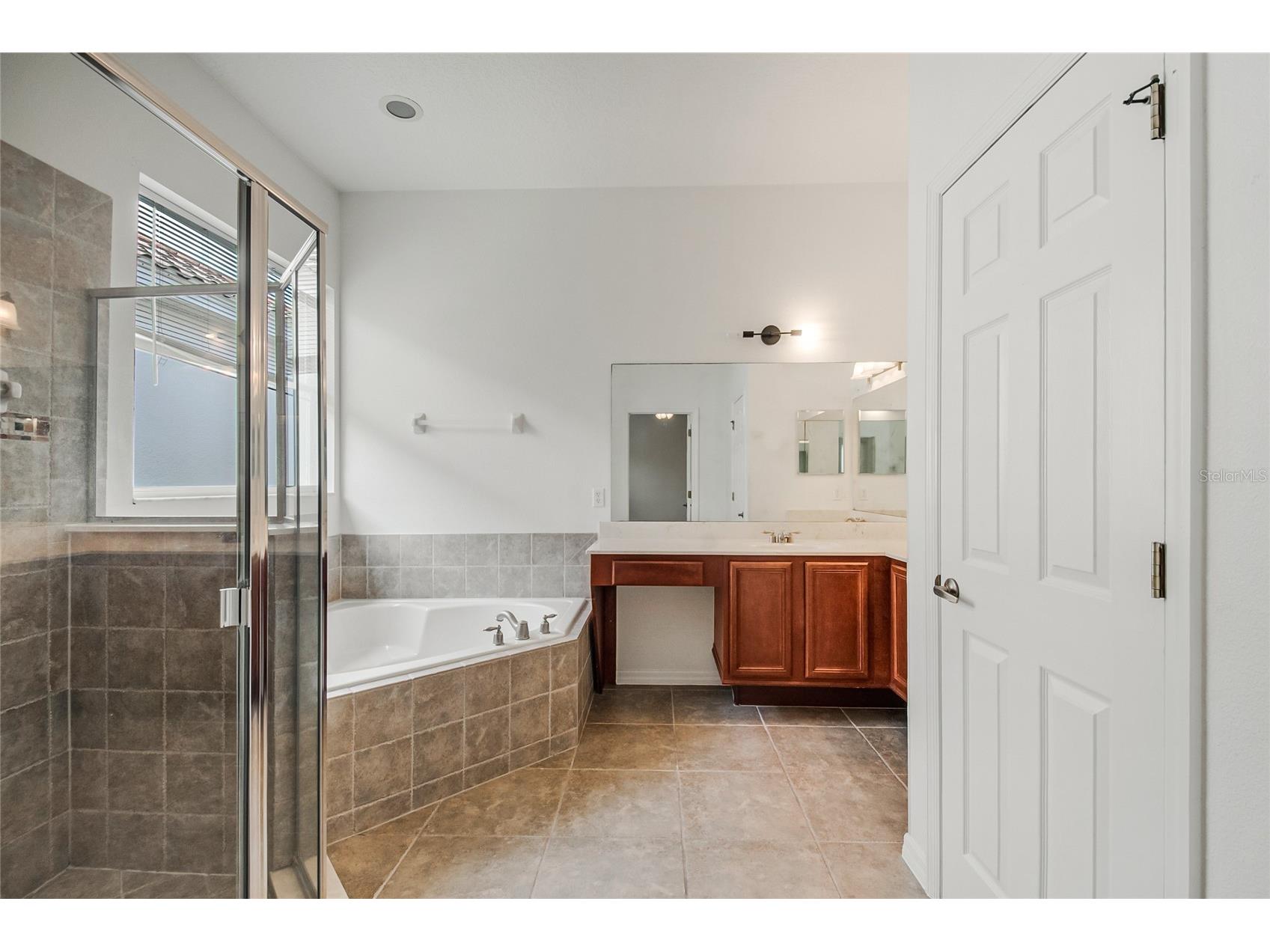 7407 Devereaux Street Reunion FL 34747 S5150891 image46