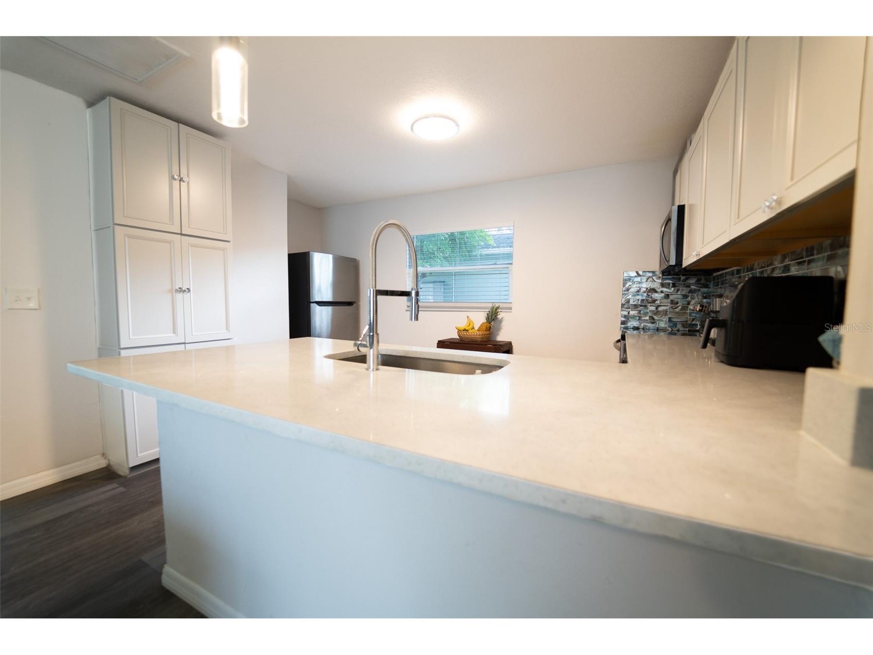 7407 Mount Vernon Road Tampa FL 33625 W7887106 image6