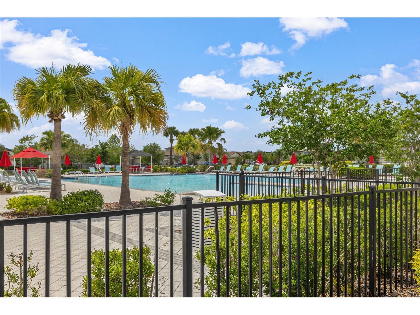 7407 Rosy Periwinkle Court Tampa FL 33619 TB8502011 image29