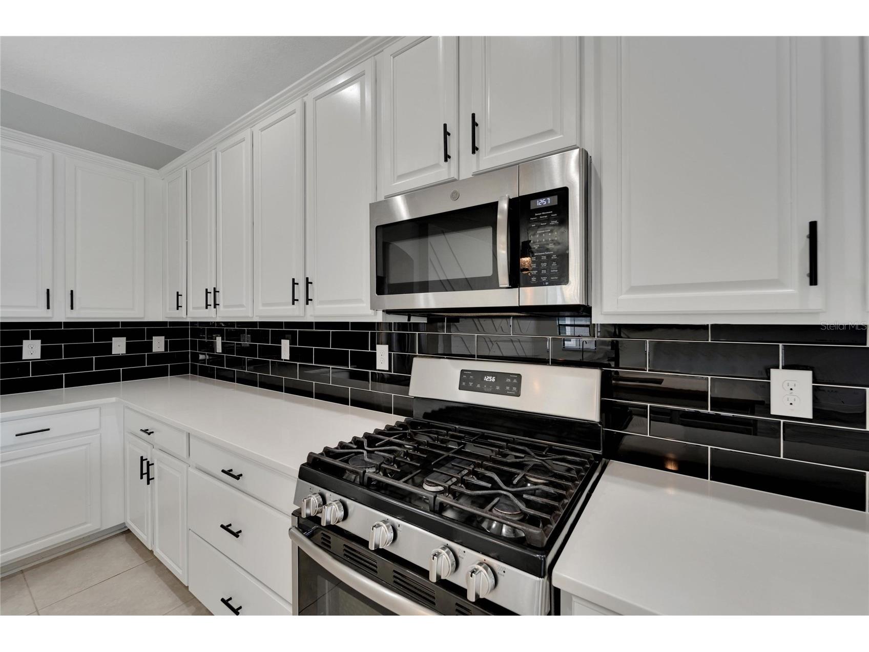 7408 Sungold Meadow Court Apollo Beach FL 33572 TB8400632 image35