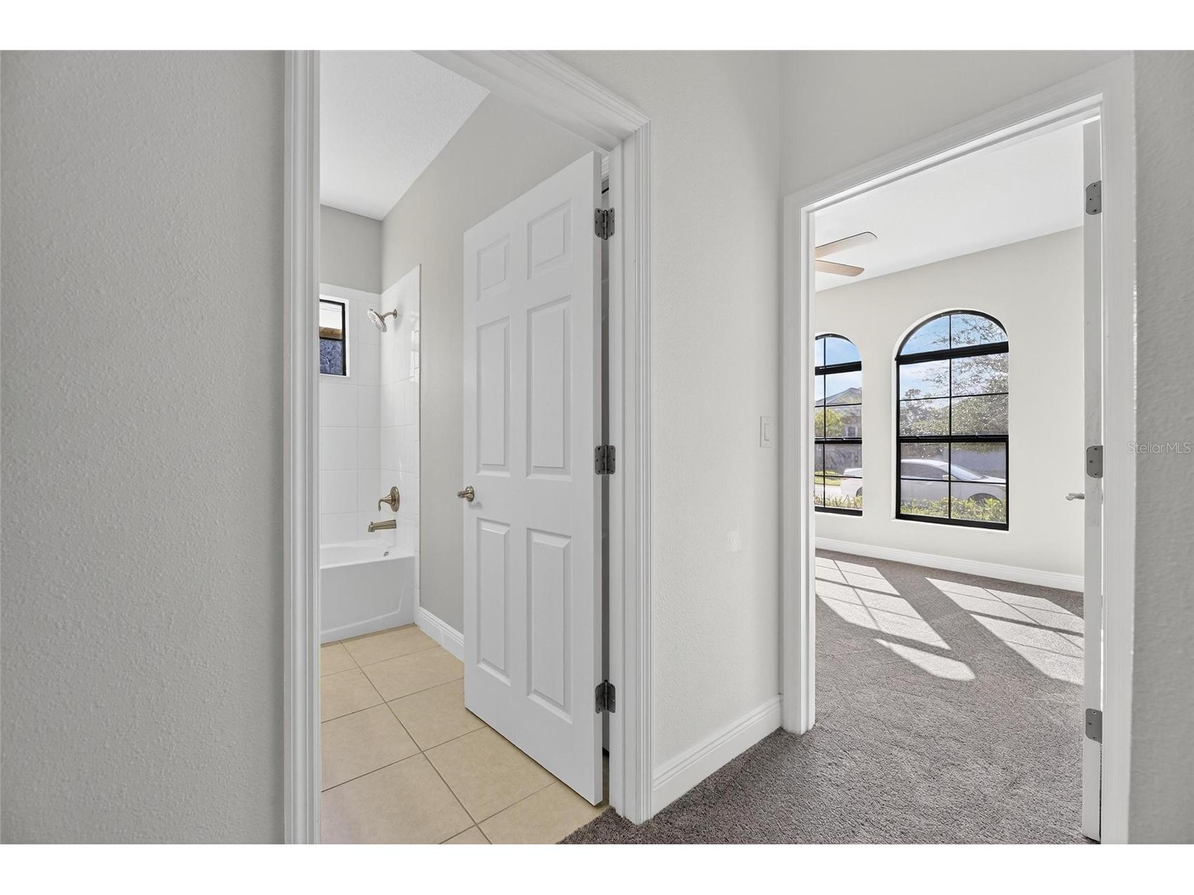 7408 Sungold Meadow Court Apollo Beach FL 33572 TB8400632 image38