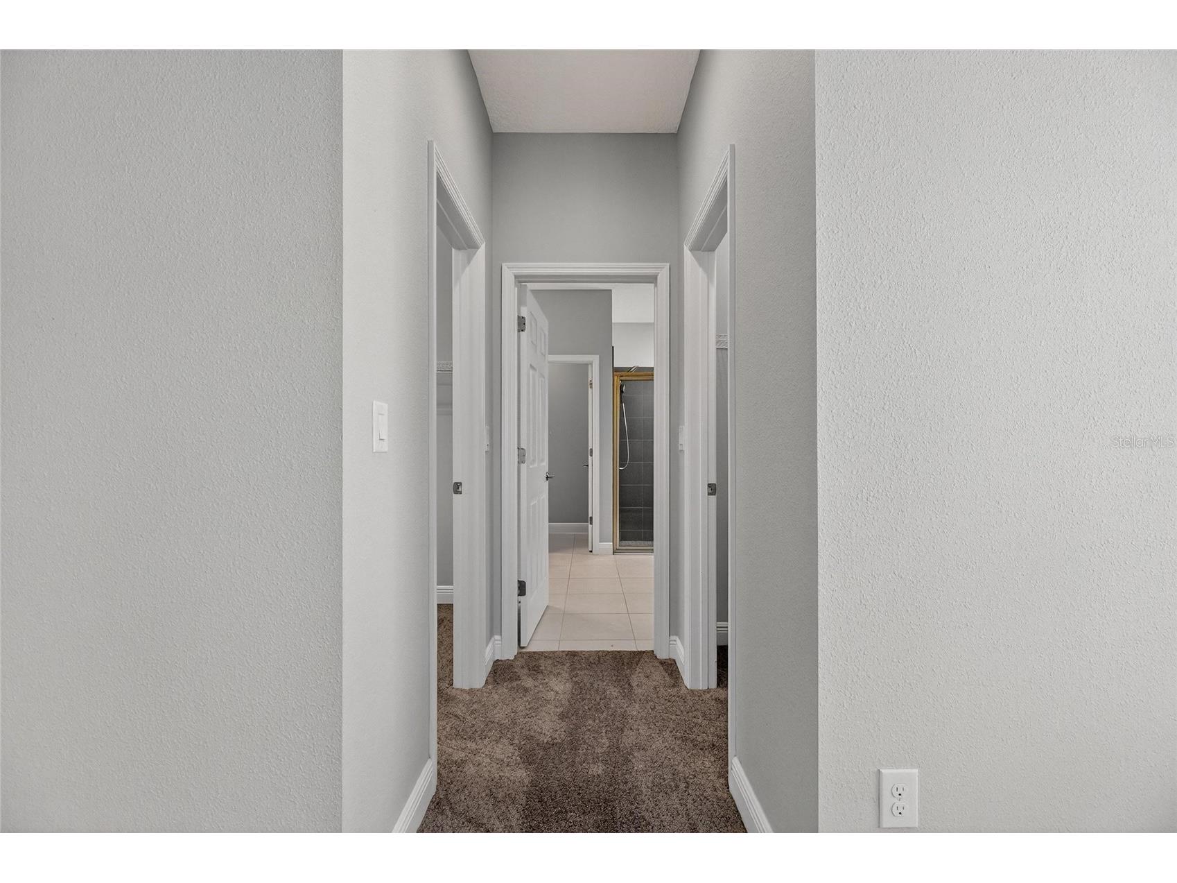 7408 Sungold Meadow Court Apollo Beach FL 33572 TB8400632 image54