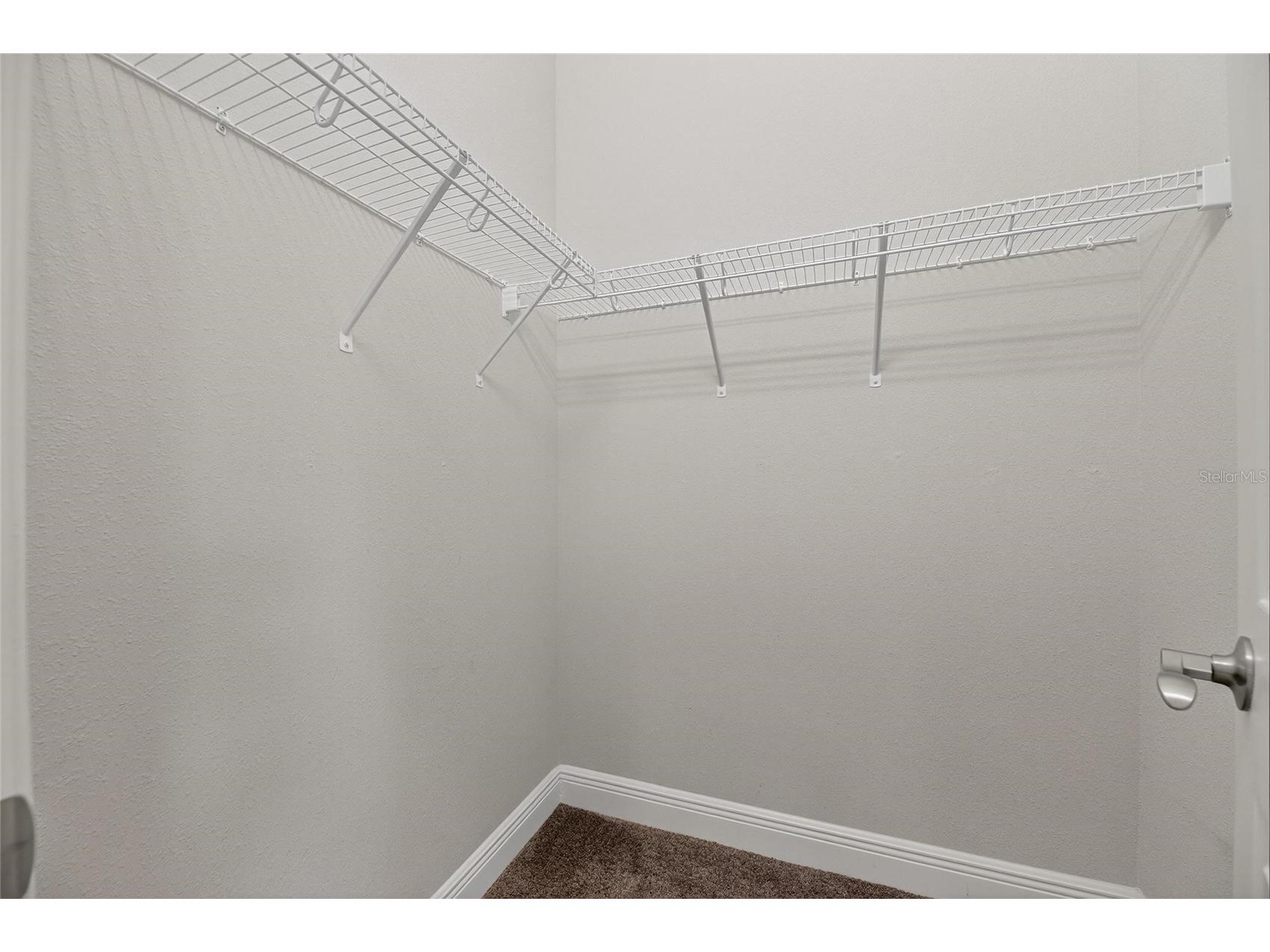 7408 Sungold Meadow Court Apollo Beach FL 33572 TB8400632 image55