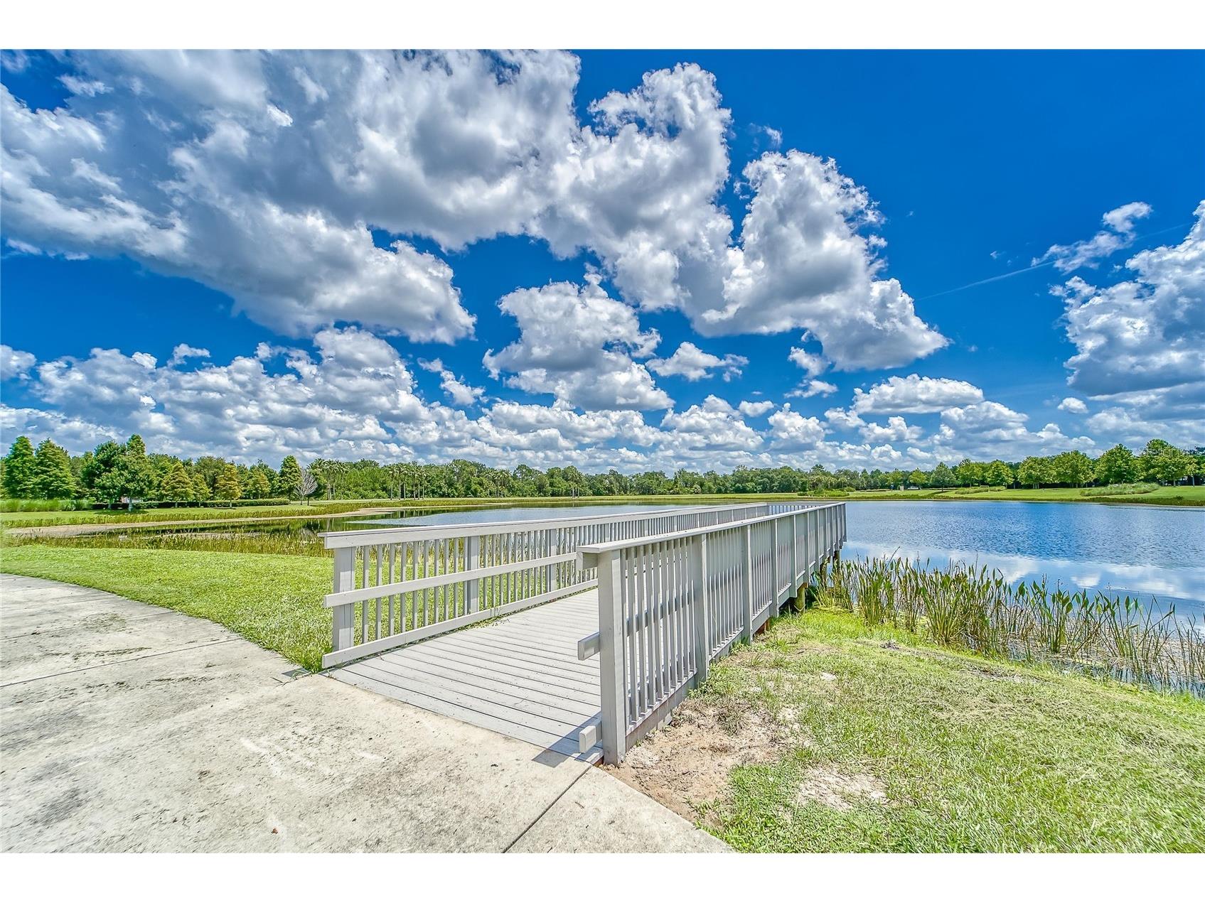 7408 Sungold Meadow Court Apollo Beach FL 33572 TB8400632 image79