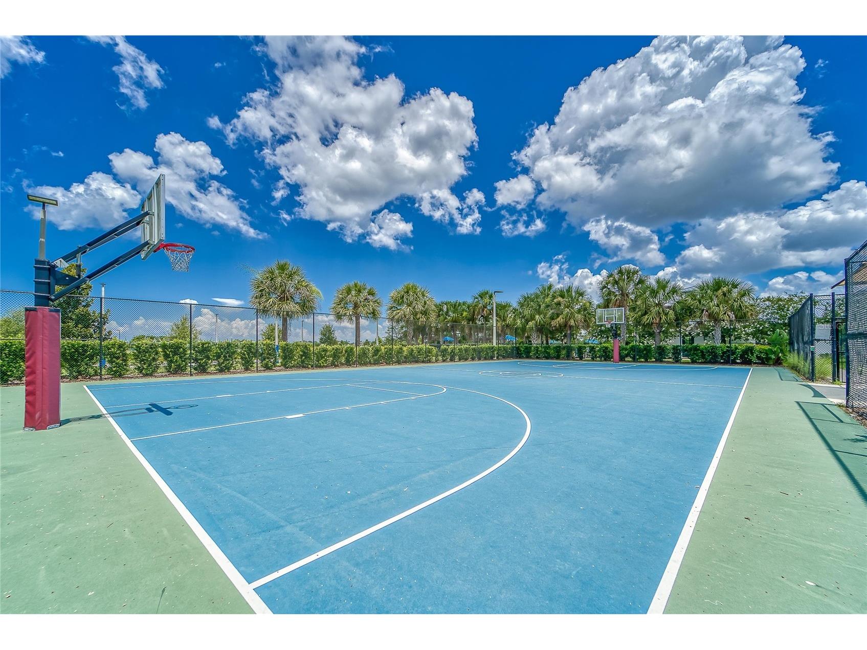 7408 Sungold Meadow Court Apollo Beach FL 33572 TB8400632 image81