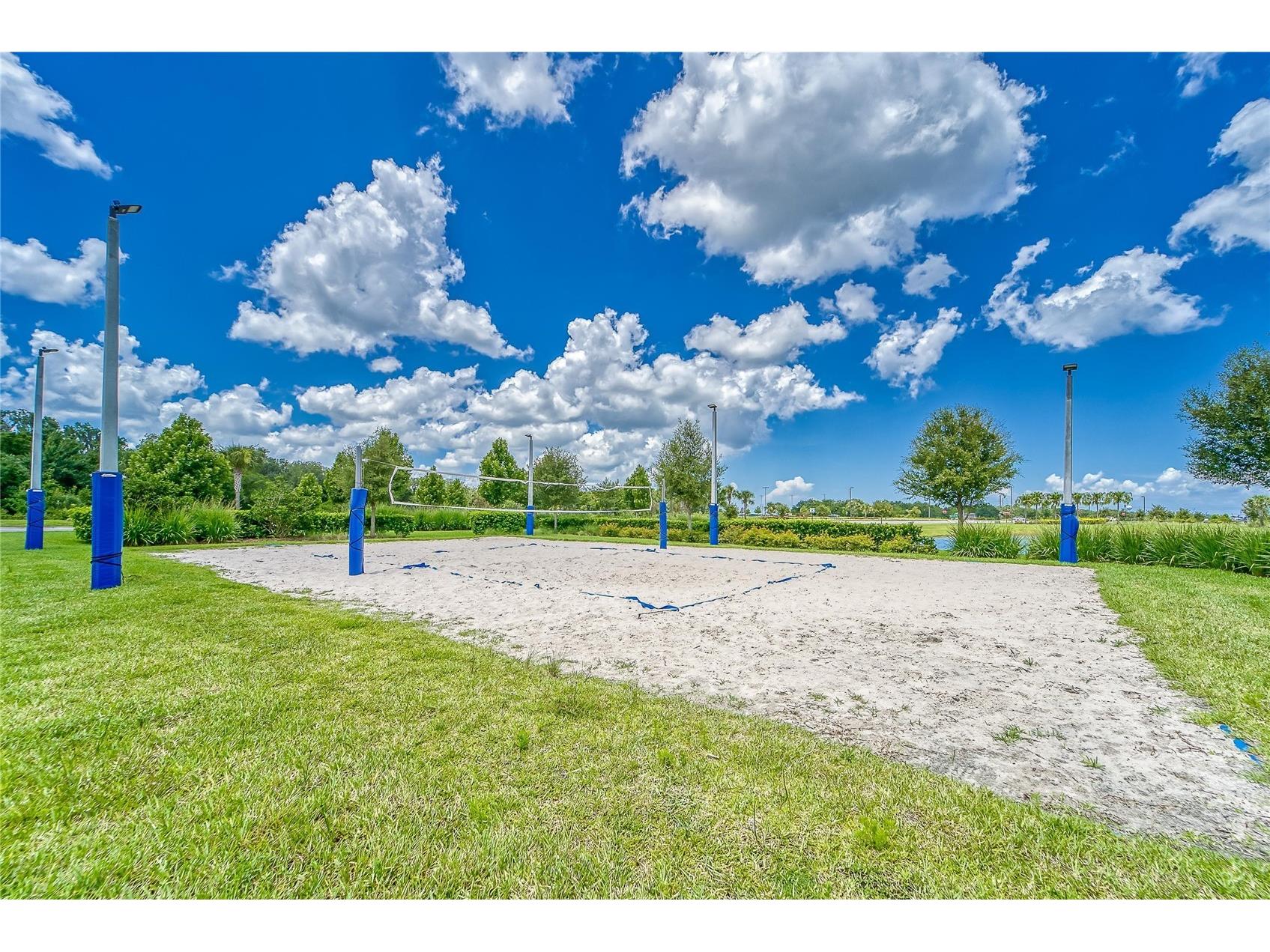 7408 Sungold Meadow Court Apollo Beach FL 33572 TB8400632 image82