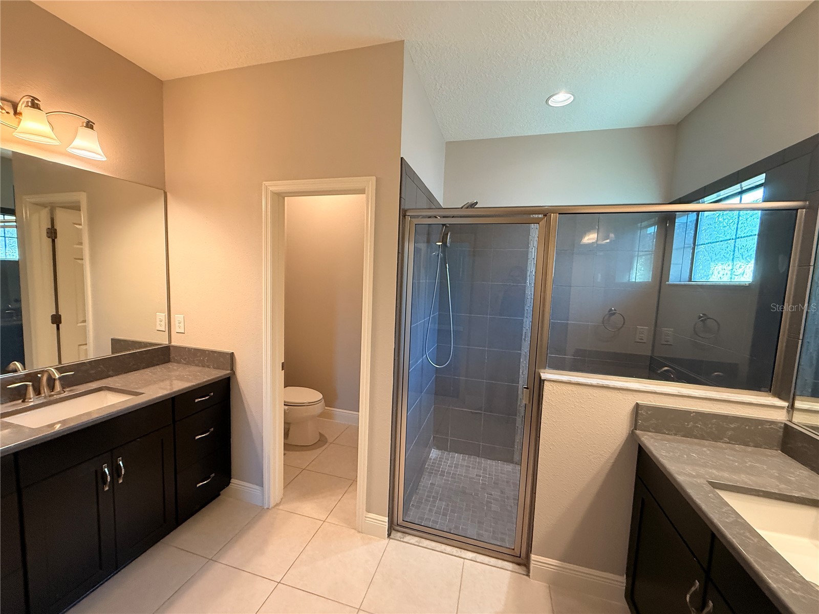 7408 Sungold Meadow Court Apollo Beach FL 33572 TB8468082 image15