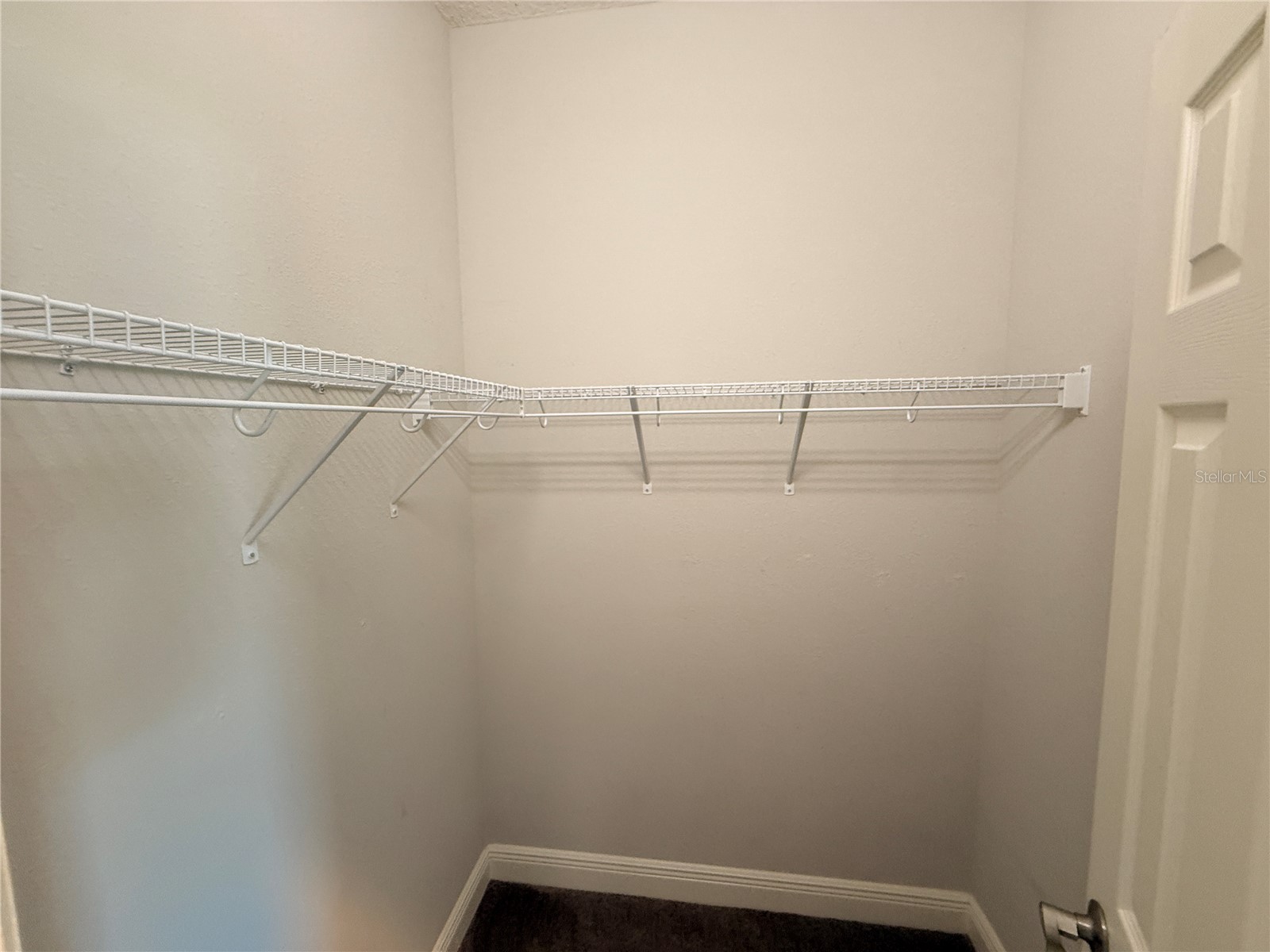 7408 Sungold Meadow Court Apollo Beach FL 33572 TB8468082 image17