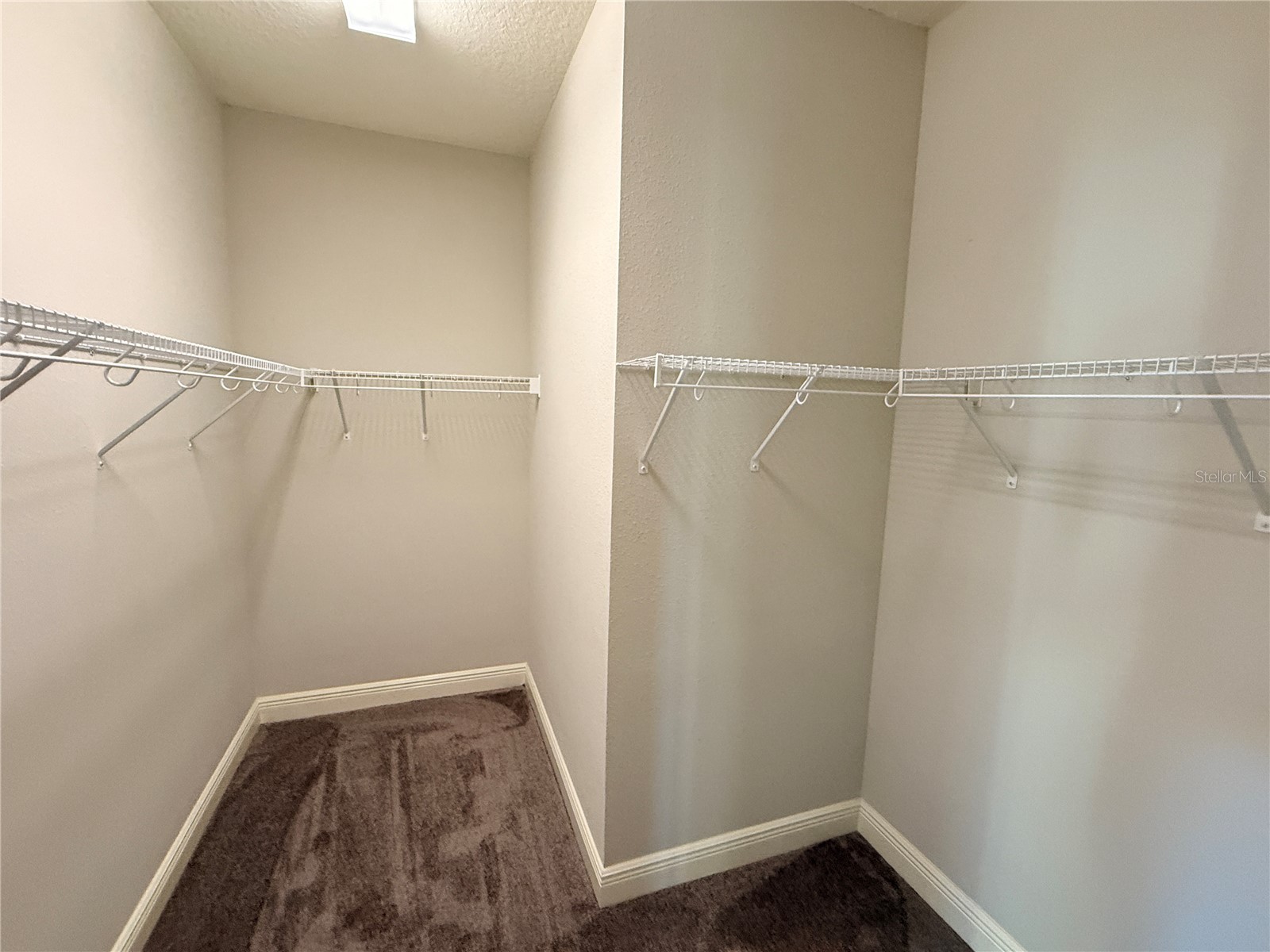 7408 Sungold Meadow Court Apollo Beach FL 33572 TB8468082 image18