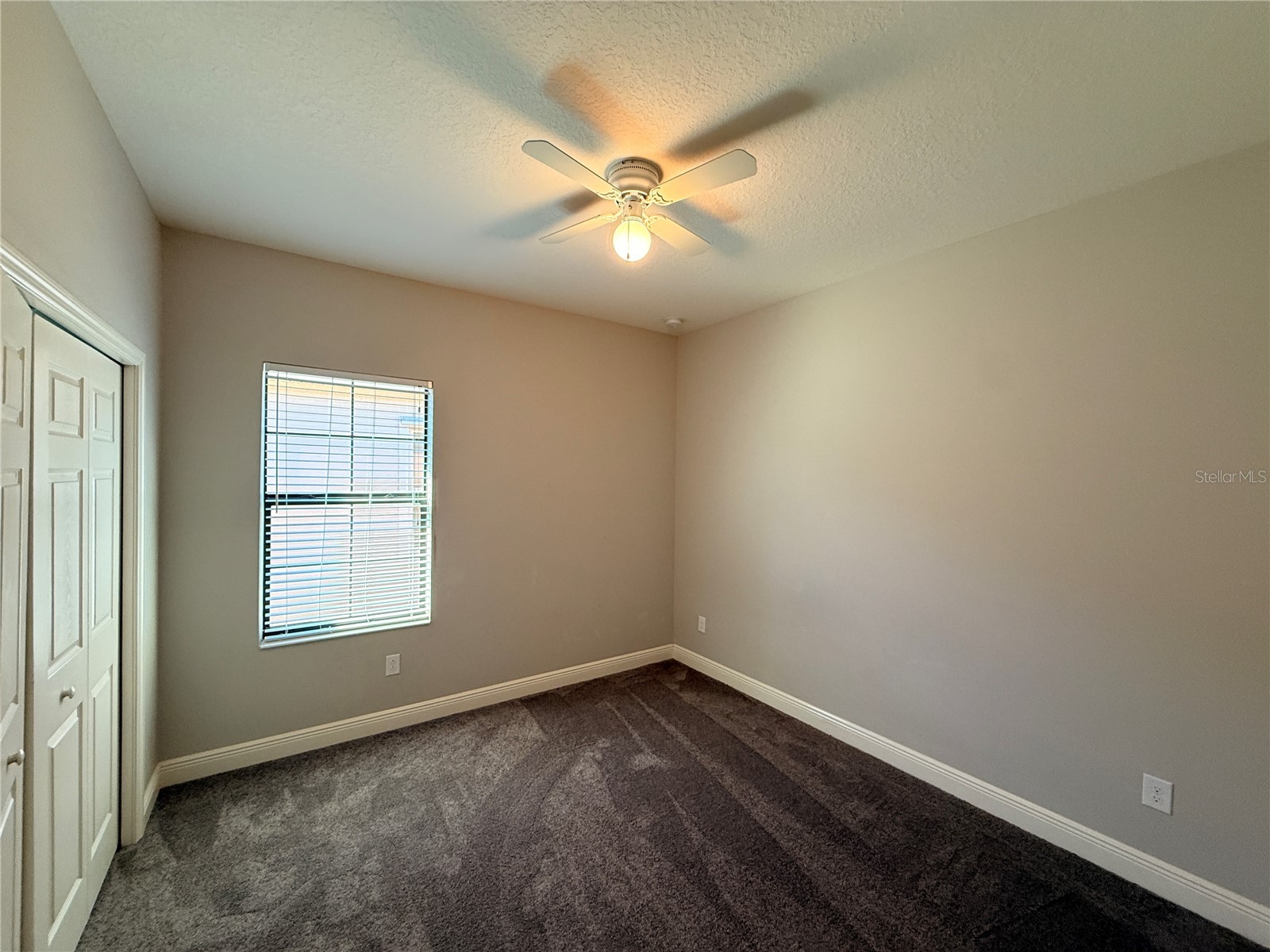 7408 Sungold Meadow Court Apollo Beach FL 33572 TB8468082 image7