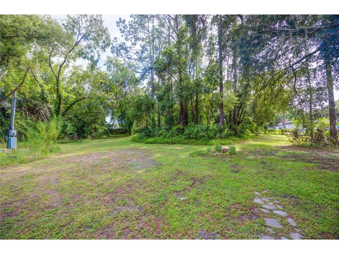 7408 Tom Drive Land O Lakes FL 34638 TB8371929 image10