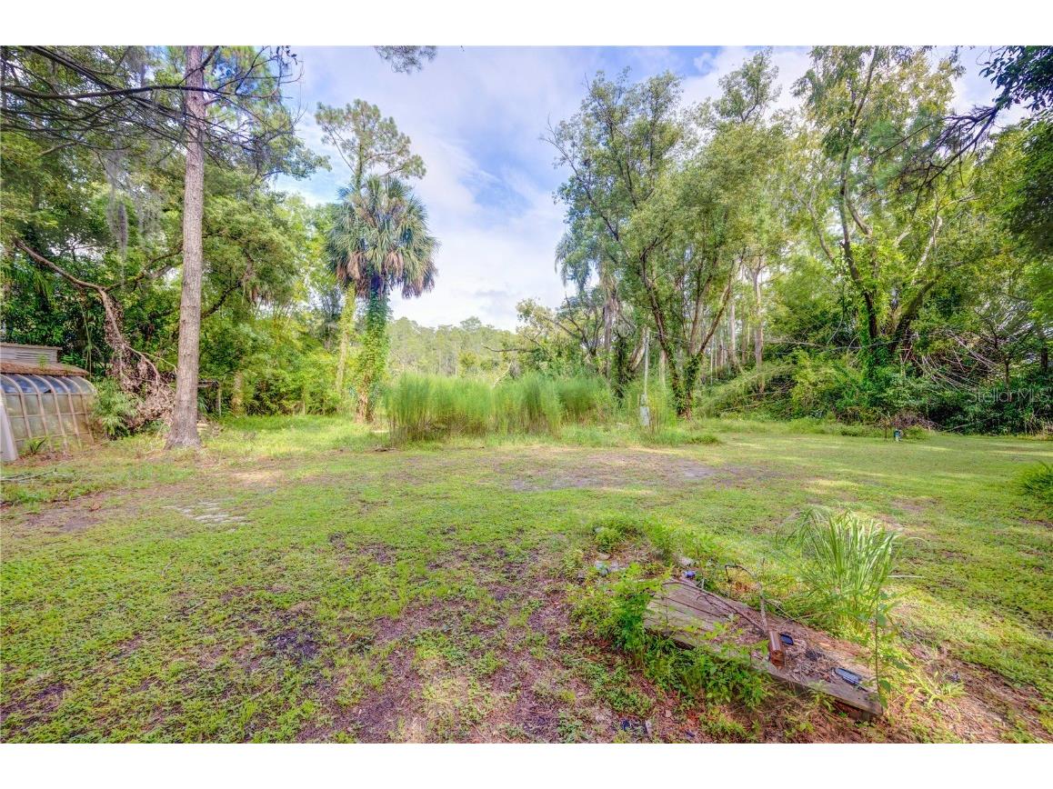 7408 Tom Drive Land O Lakes FL 34638 TB8371929 image11