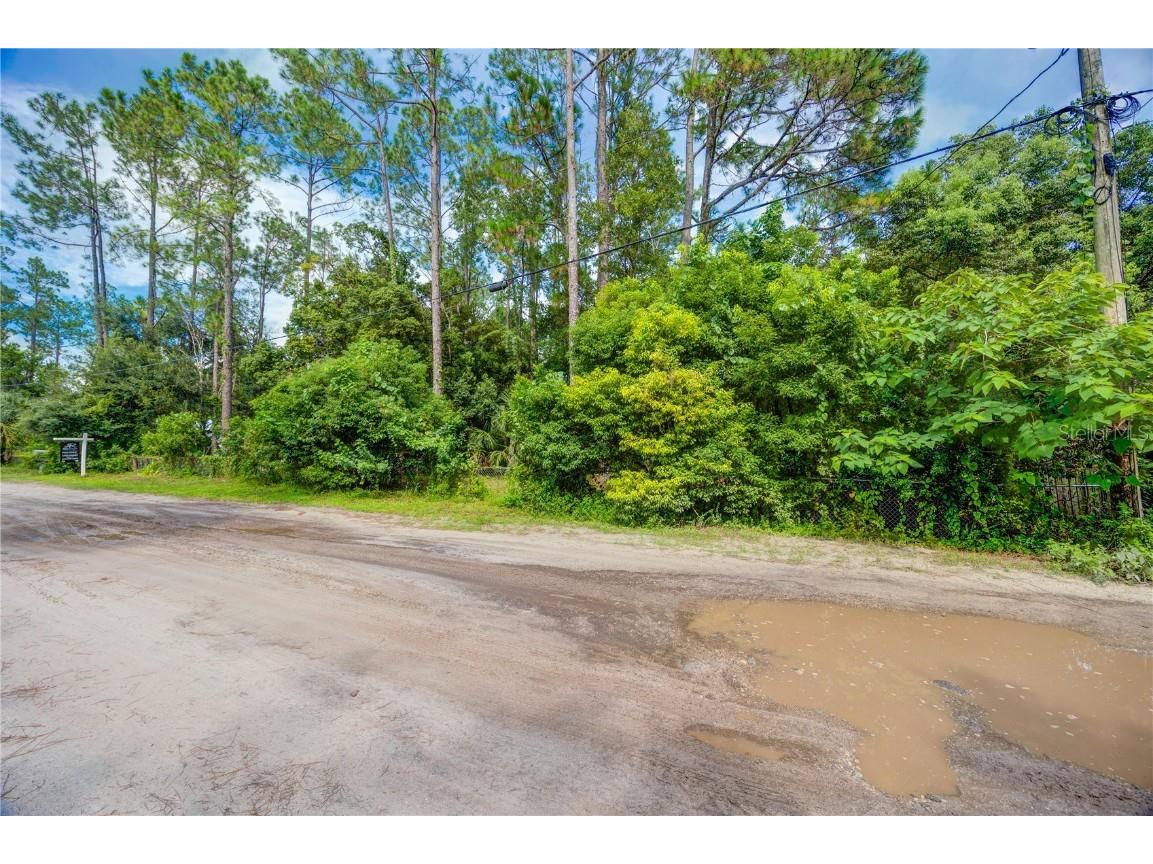 7408 Tom Drive Land O Lakes FL 34638 TB8371929 image13