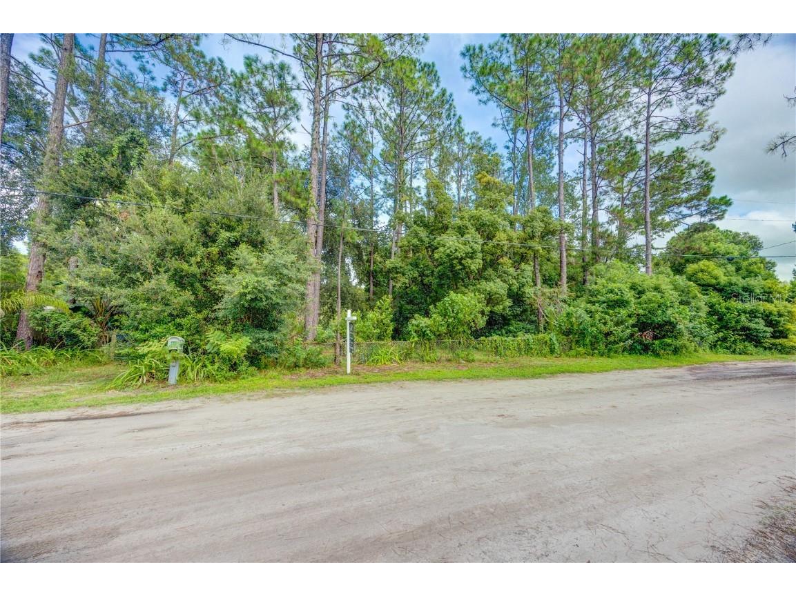 7408 Tom Drive Land O Lakes FL 34638 TB8371929 image14