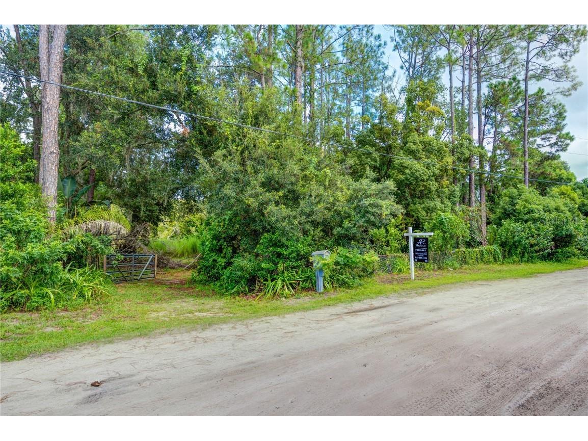 7408 Tom Drive Land O Lakes FL 34638 TB8371929 image15