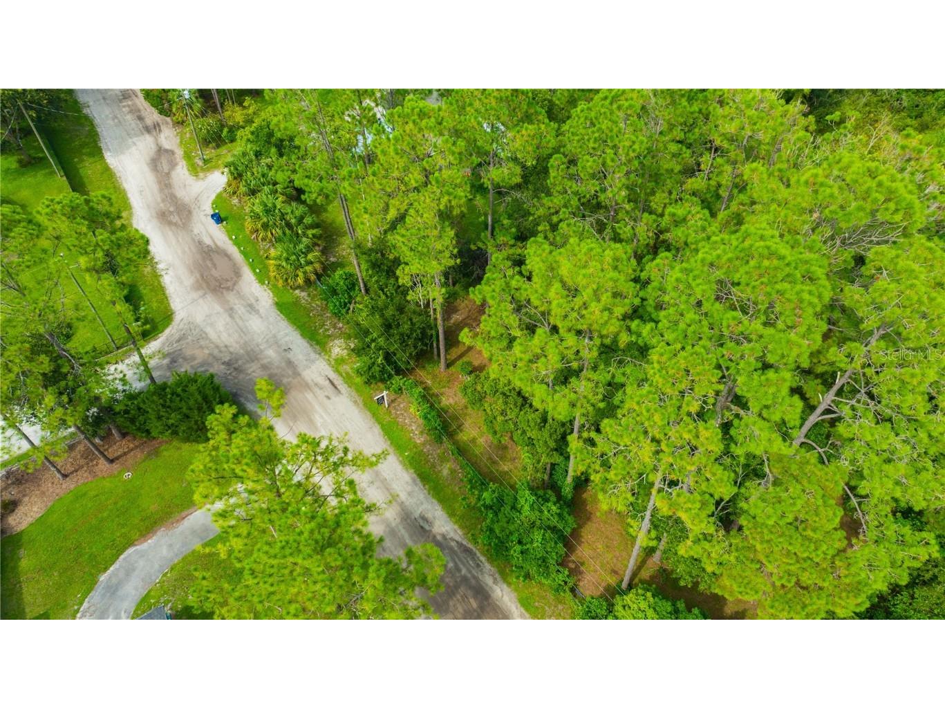 7408 Tom Drive Land O Lakes FL 34638 TB8371929 image18