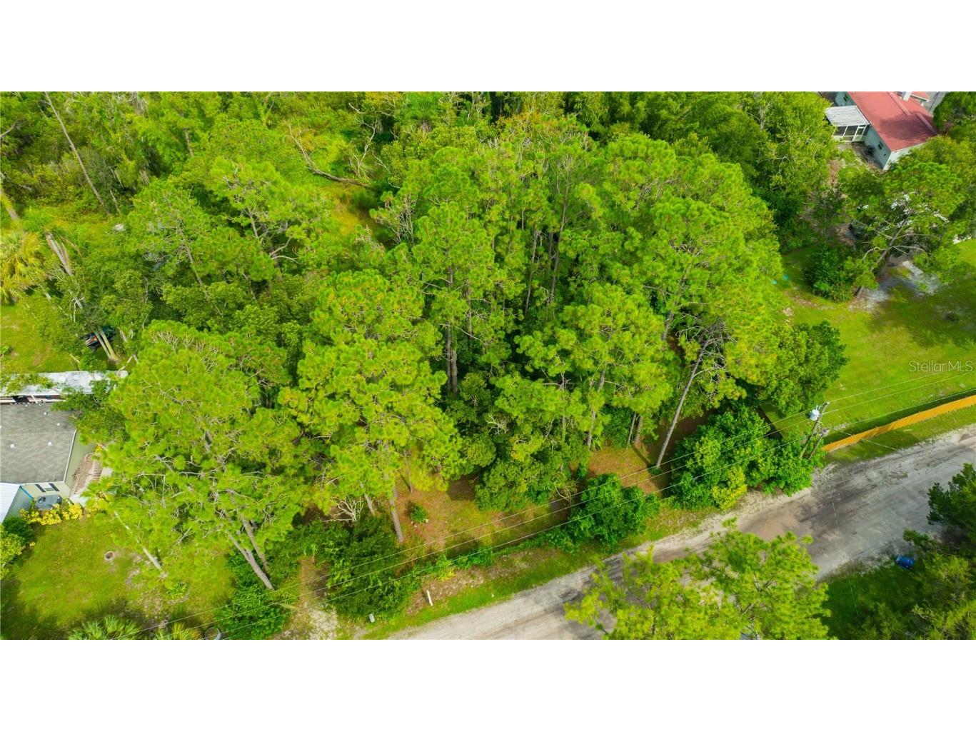 7408 Tom Drive Land O Lakes FL 34638 TB8371929 image19