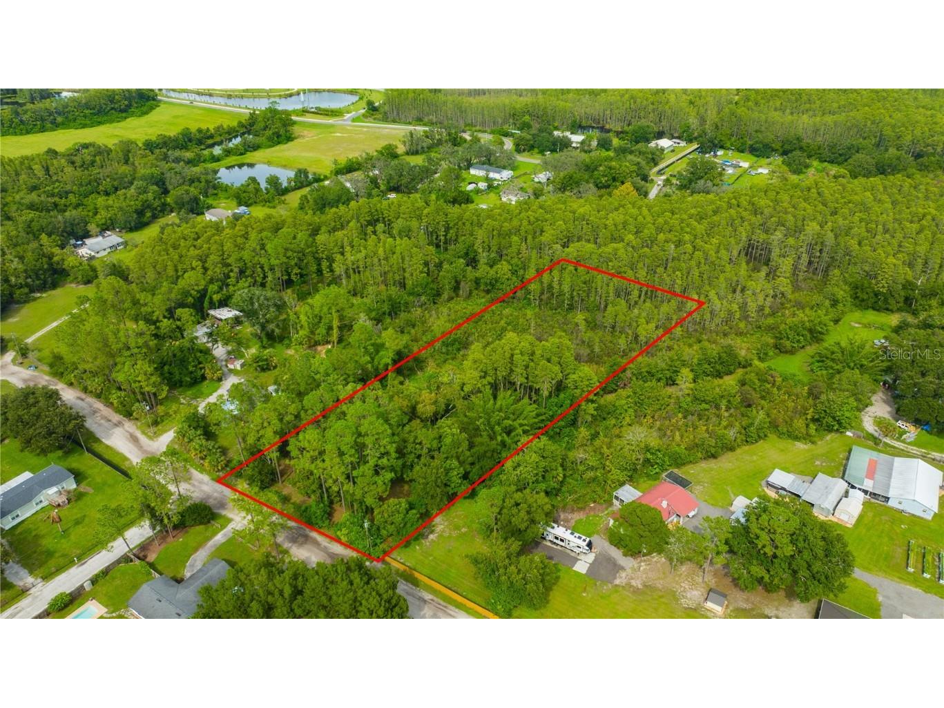 7408 Tom Drive Land O Lakes FL 34638 TB8371929 image2