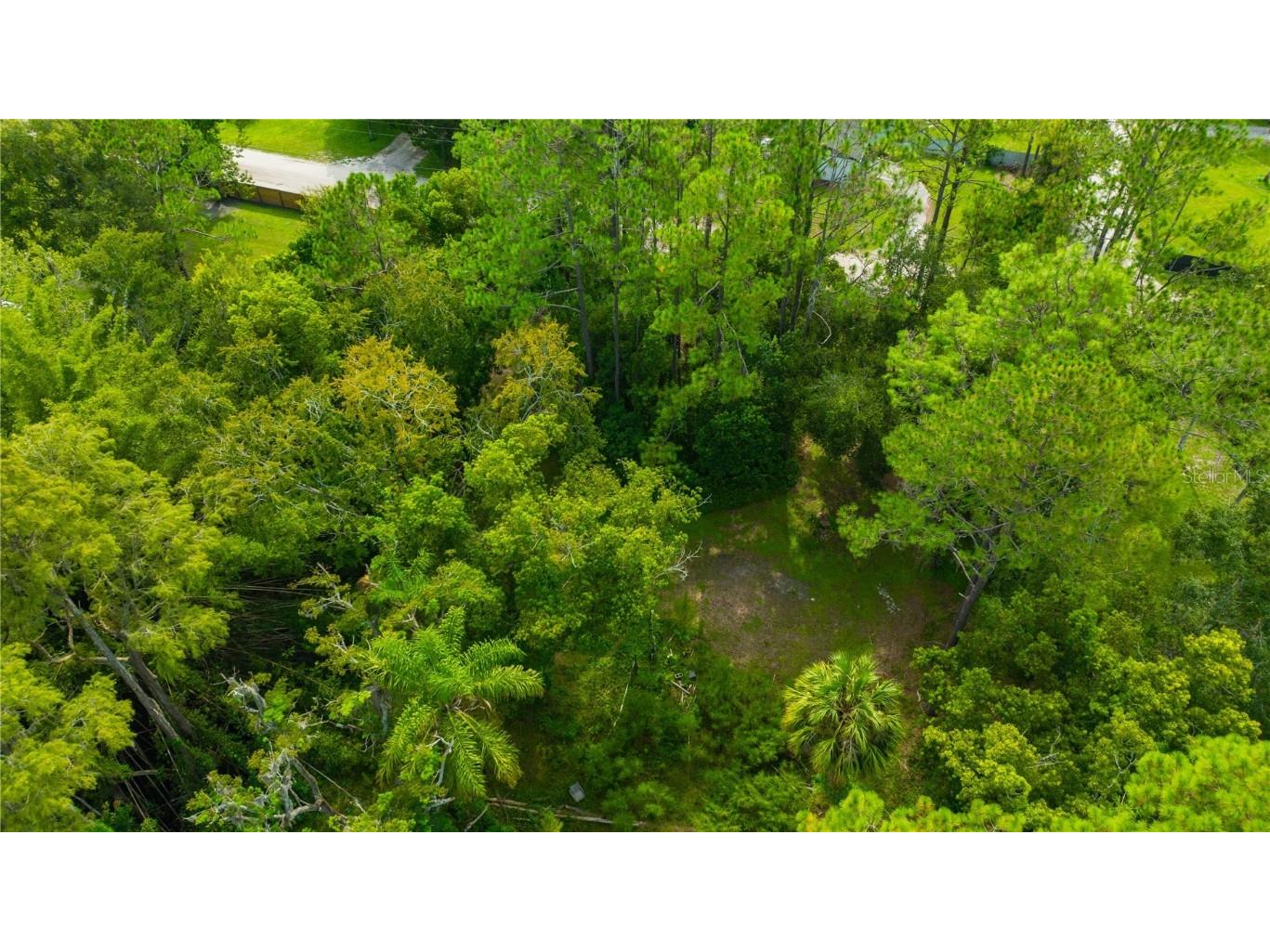 7408 Tom Drive Land O Lakes FL 34638 TB8371929 image20