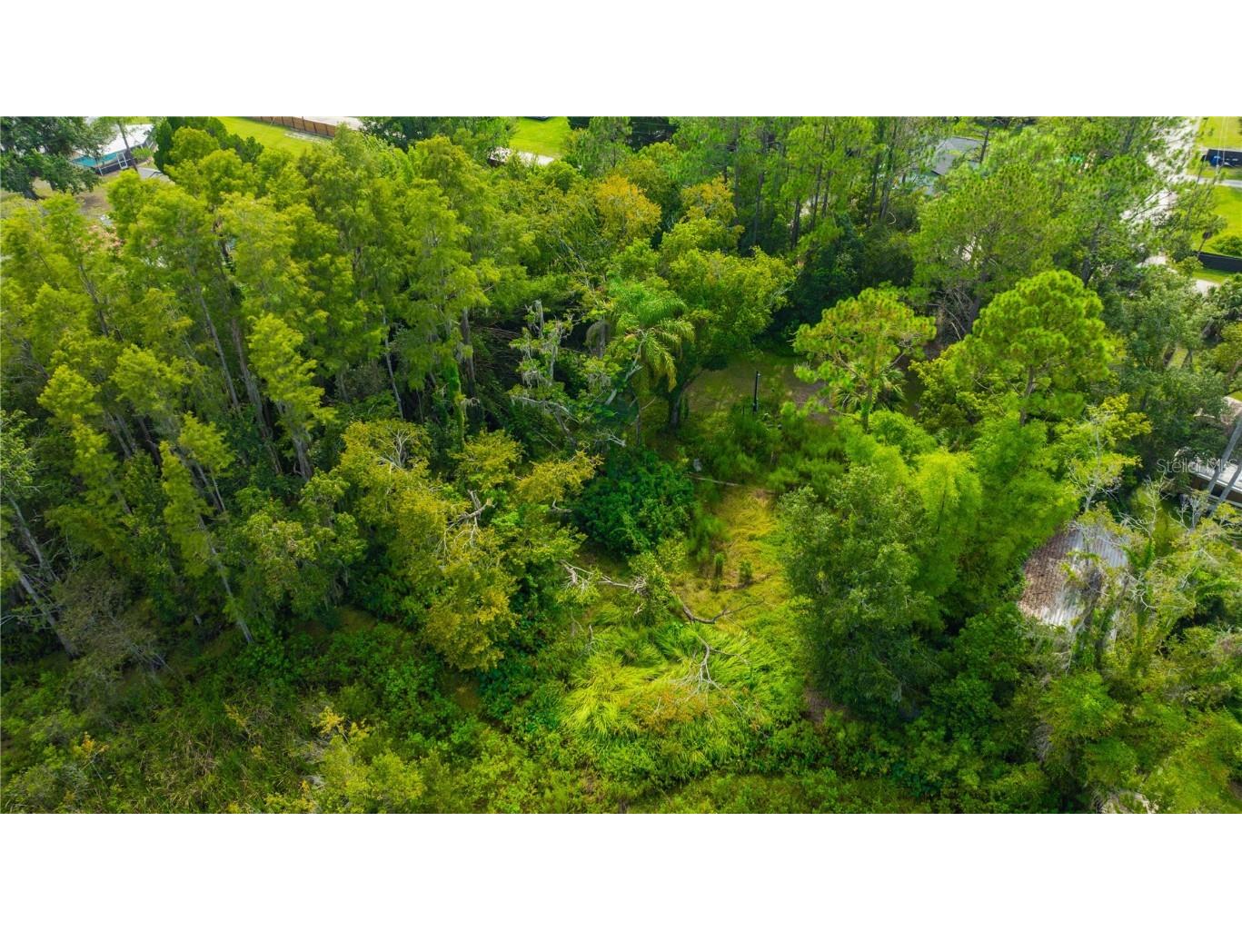 7408 Tom Drive Land O Lakes FL 34638 TB8371929 image21