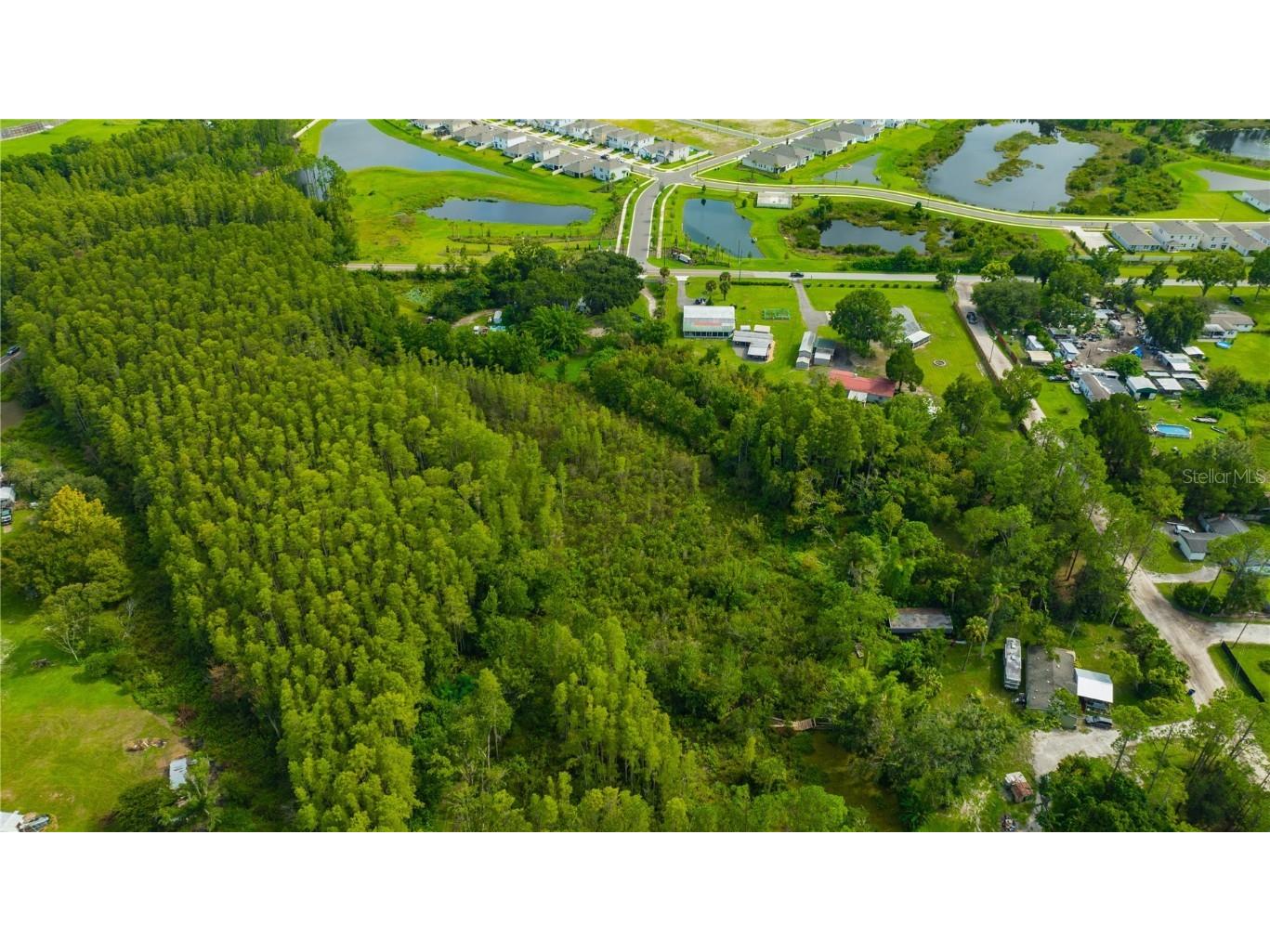 7408 Tom Drive Land O Lakes FL 34638 TB8371929 image23