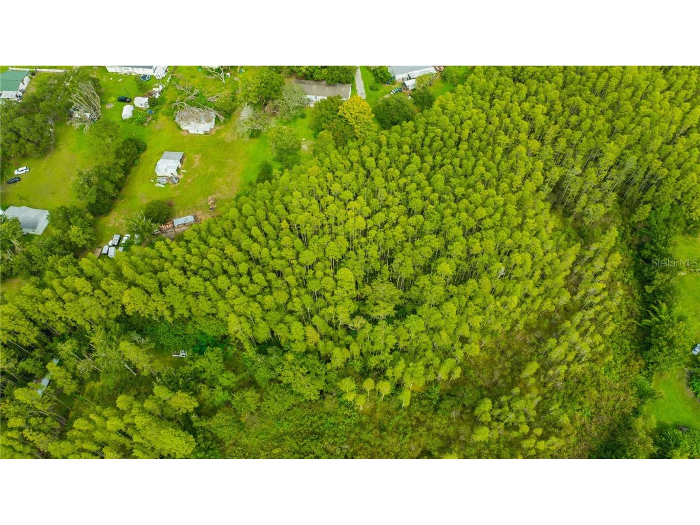 7408 Tom Drive Land O Lakes FL 34638 TB8371929 image25