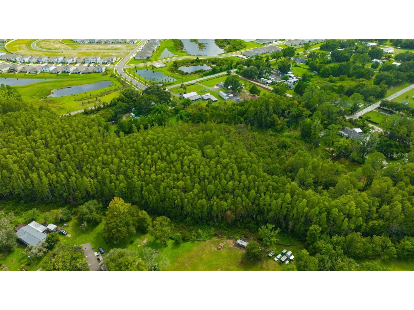 7408 Tom Drive Land O Lakes FL 34638 TB8371929 image28