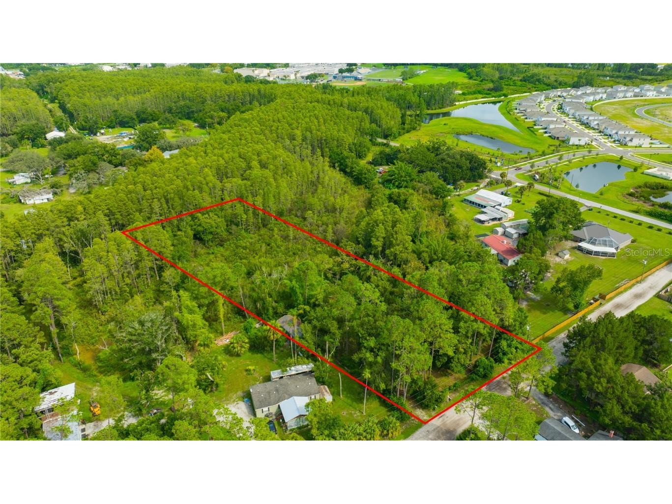 7408 Tom Drive Land O Lakes FL 34638 TB8371929 image3