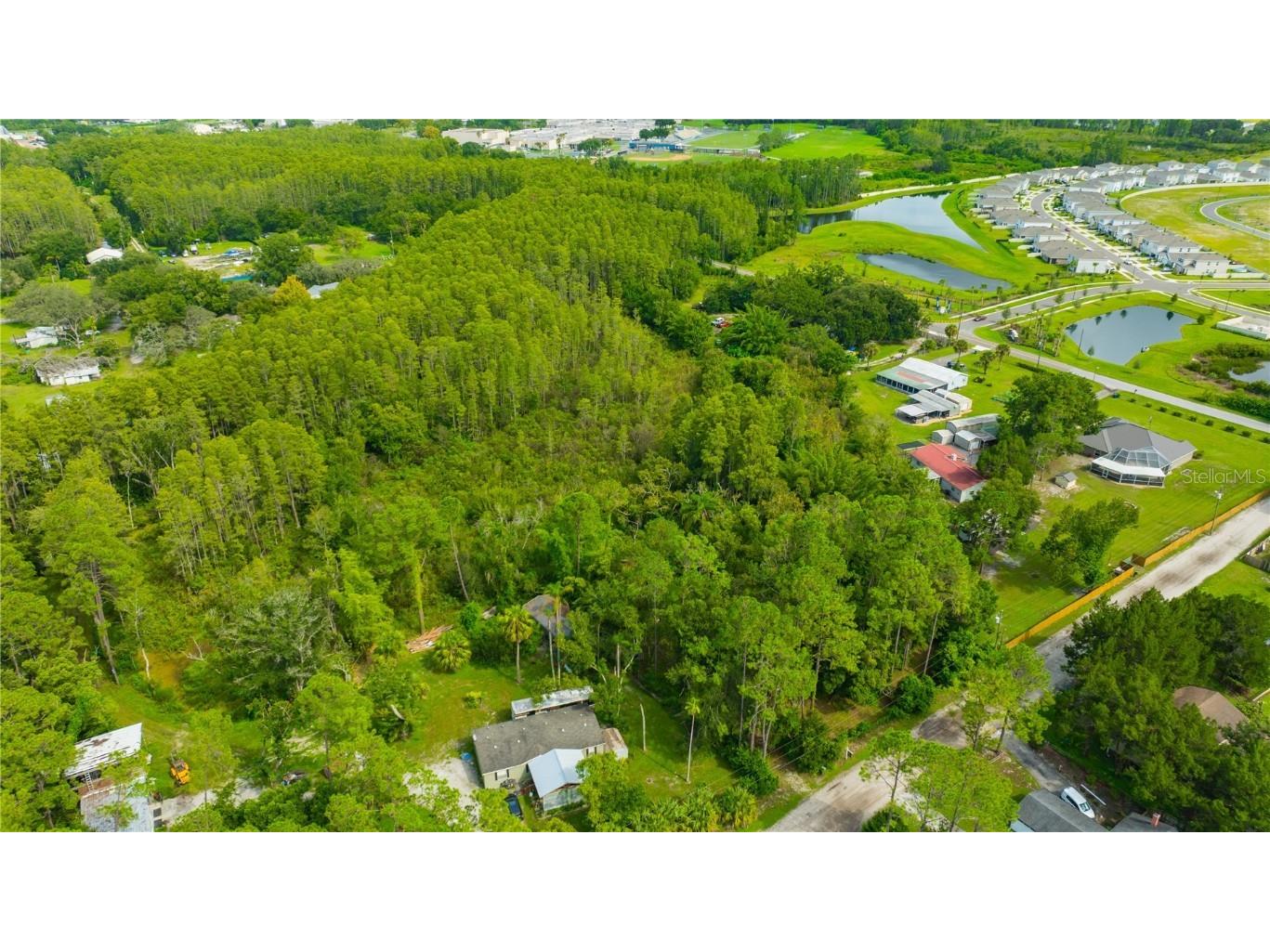 7408 Tom Drive Land O Lakes FL 34638 TB8371929 image4